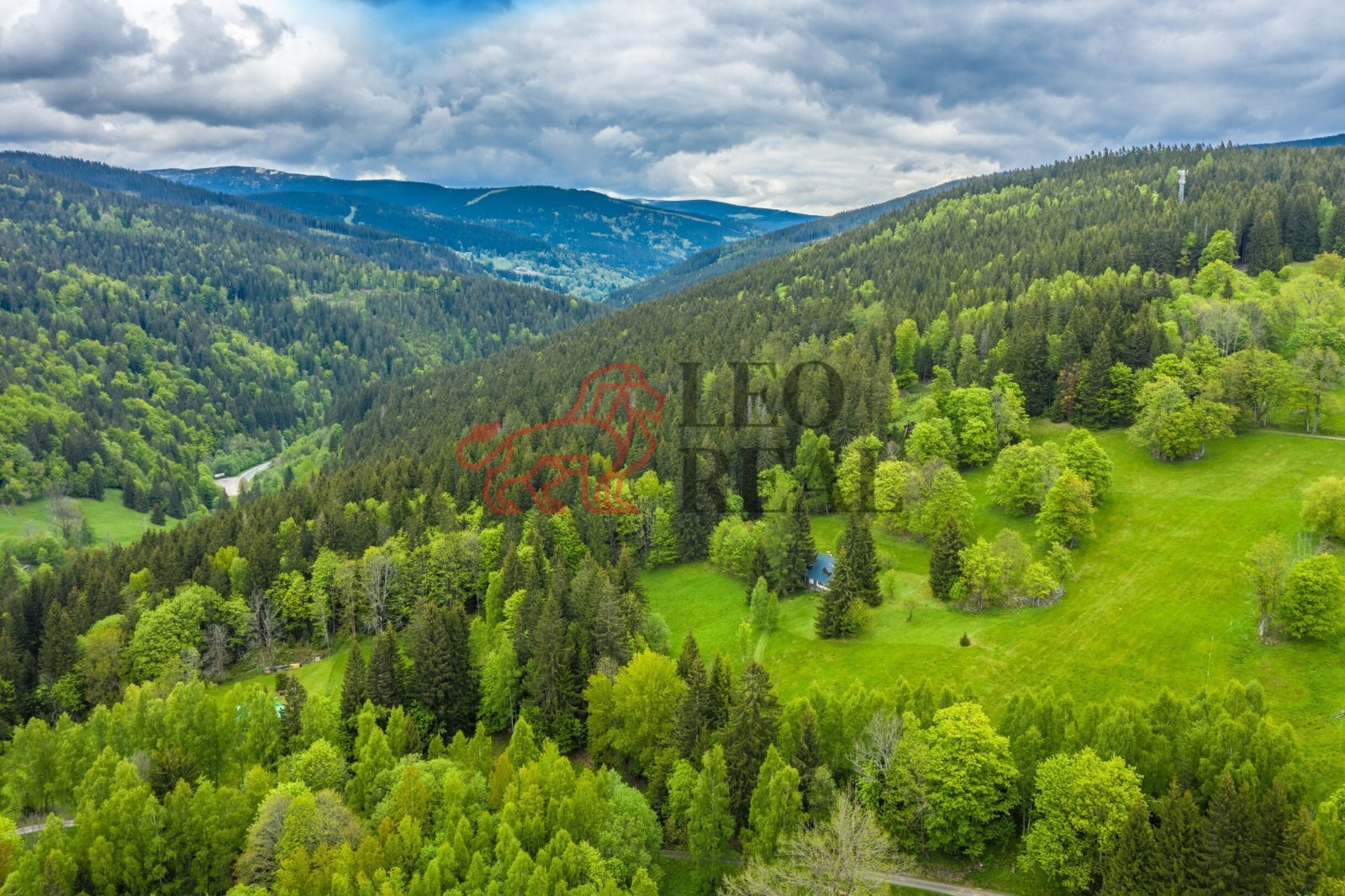 WE6A1800-HDR.jpg