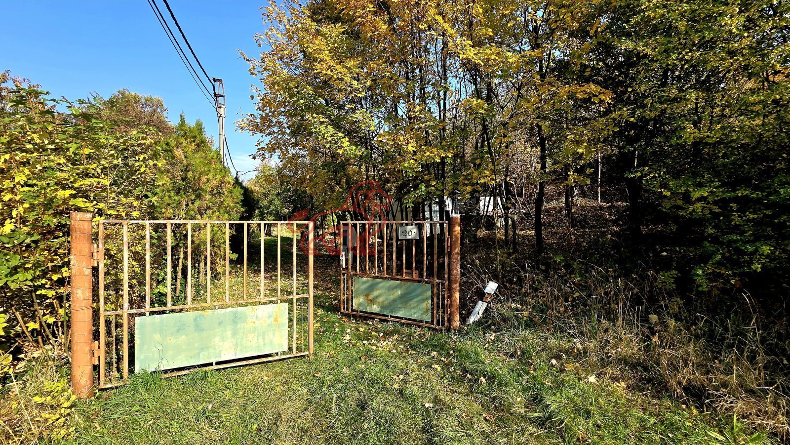 20261020_134526.jpg