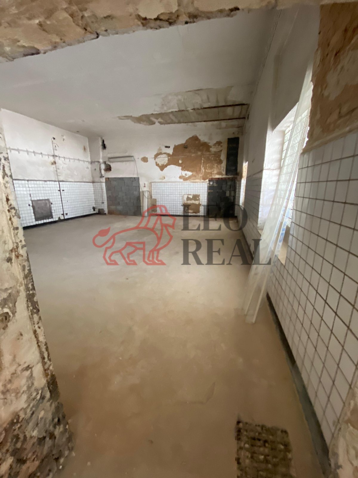 Obrázek WhatsApp, 2025-11-13 v 15.30.10_c62e2e8c.j