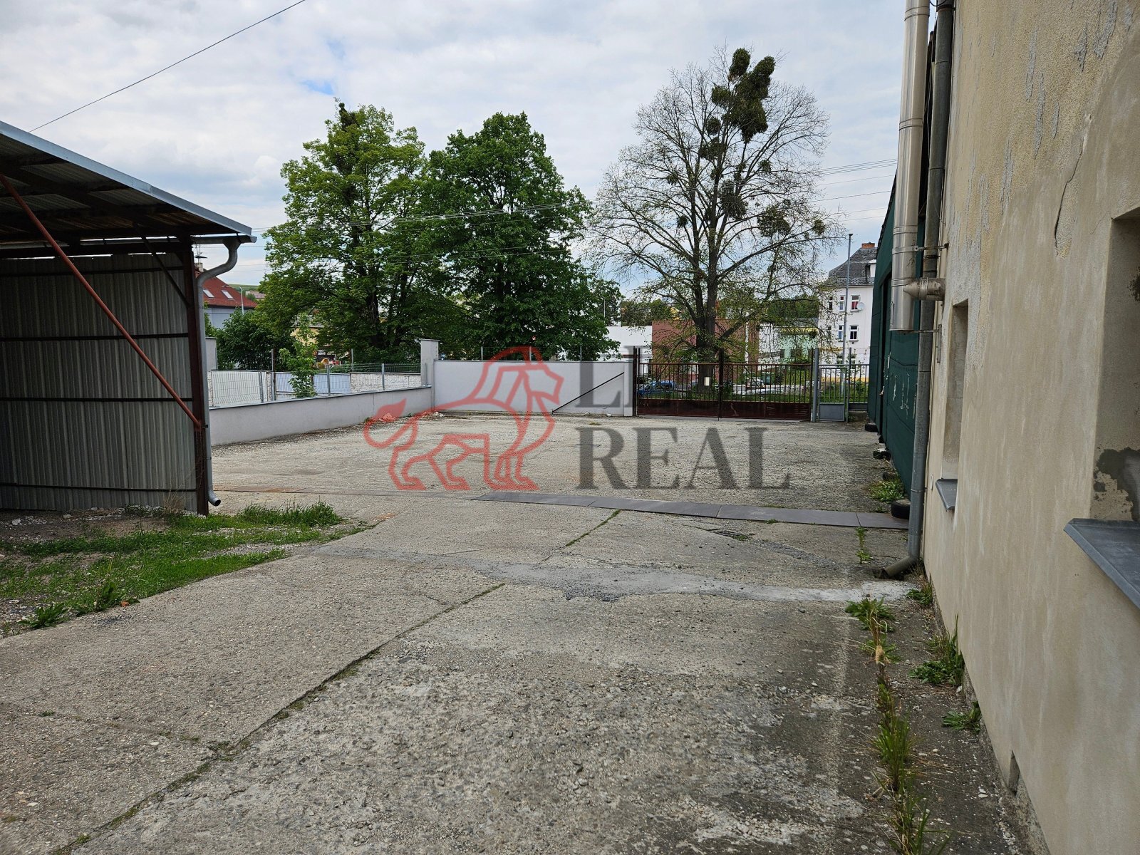 4-20250512_154218.jpg