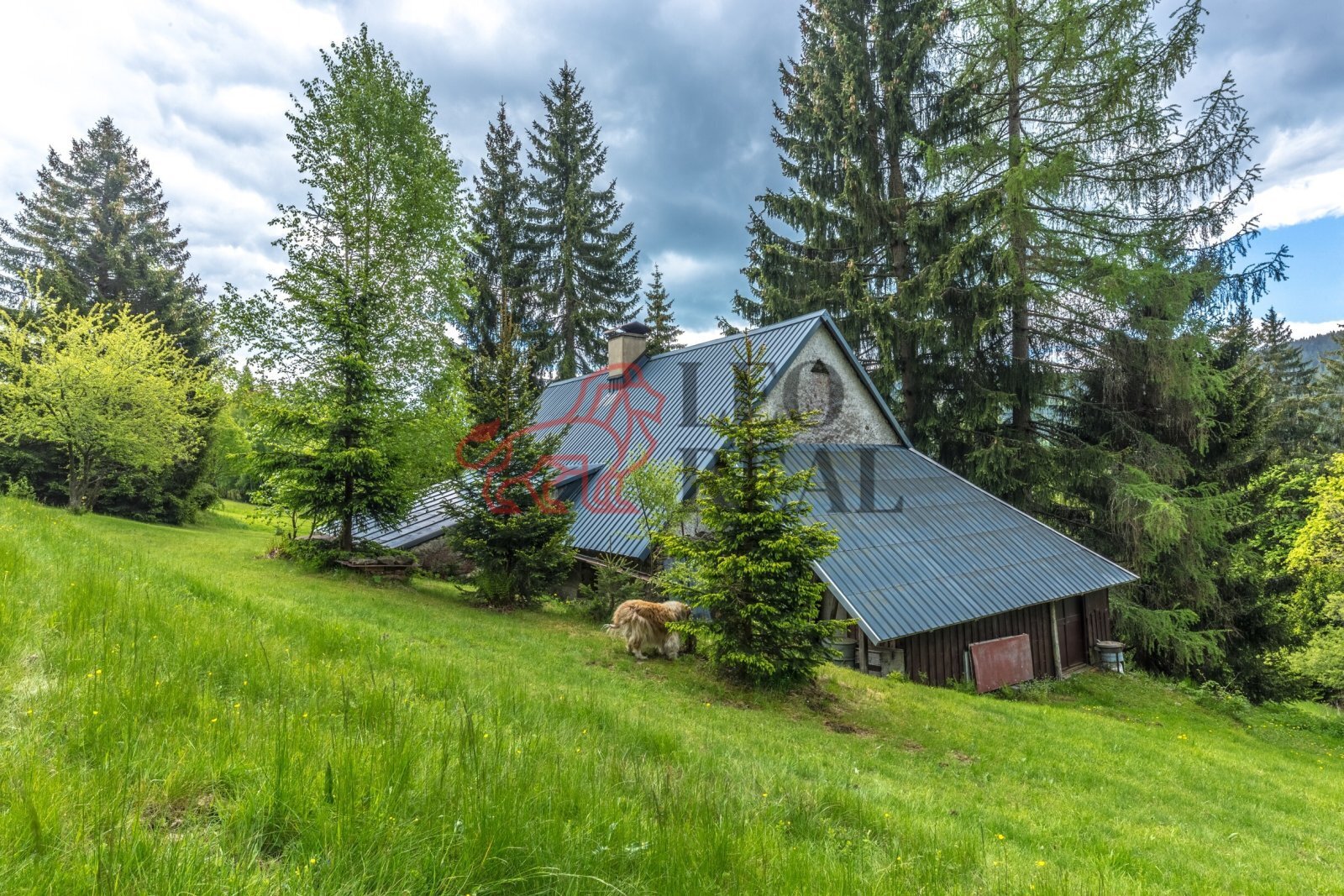 WE6A1806-HDR.jpg