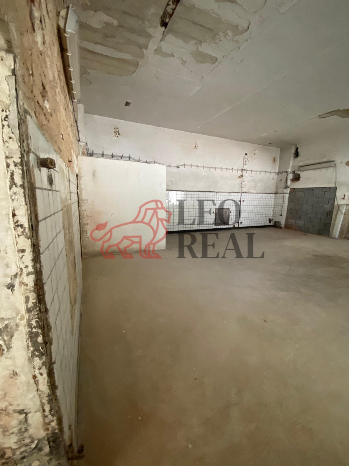 Obrázek WhatsApp, 2025-11-13 v 15.30.10_5521a3eb.j