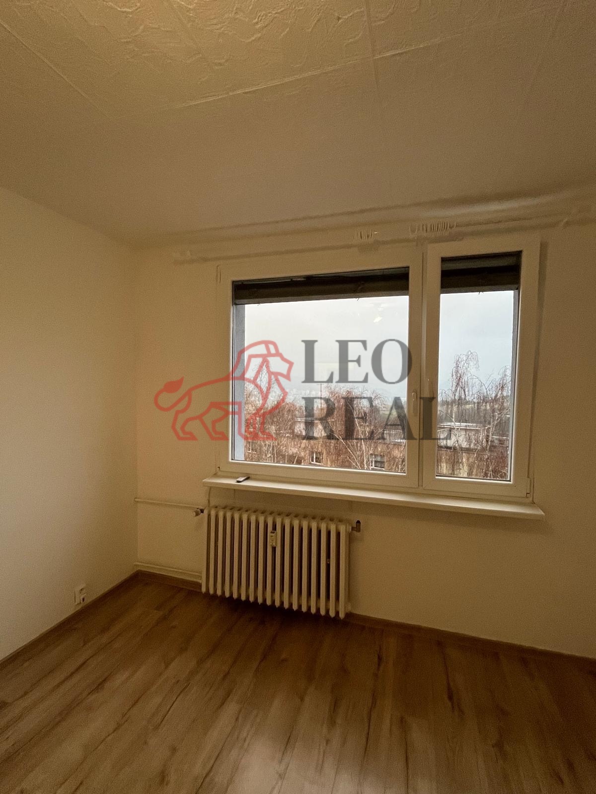 48a37928-3717-4c2b-8471-062fc3f6010b (1).jpeg