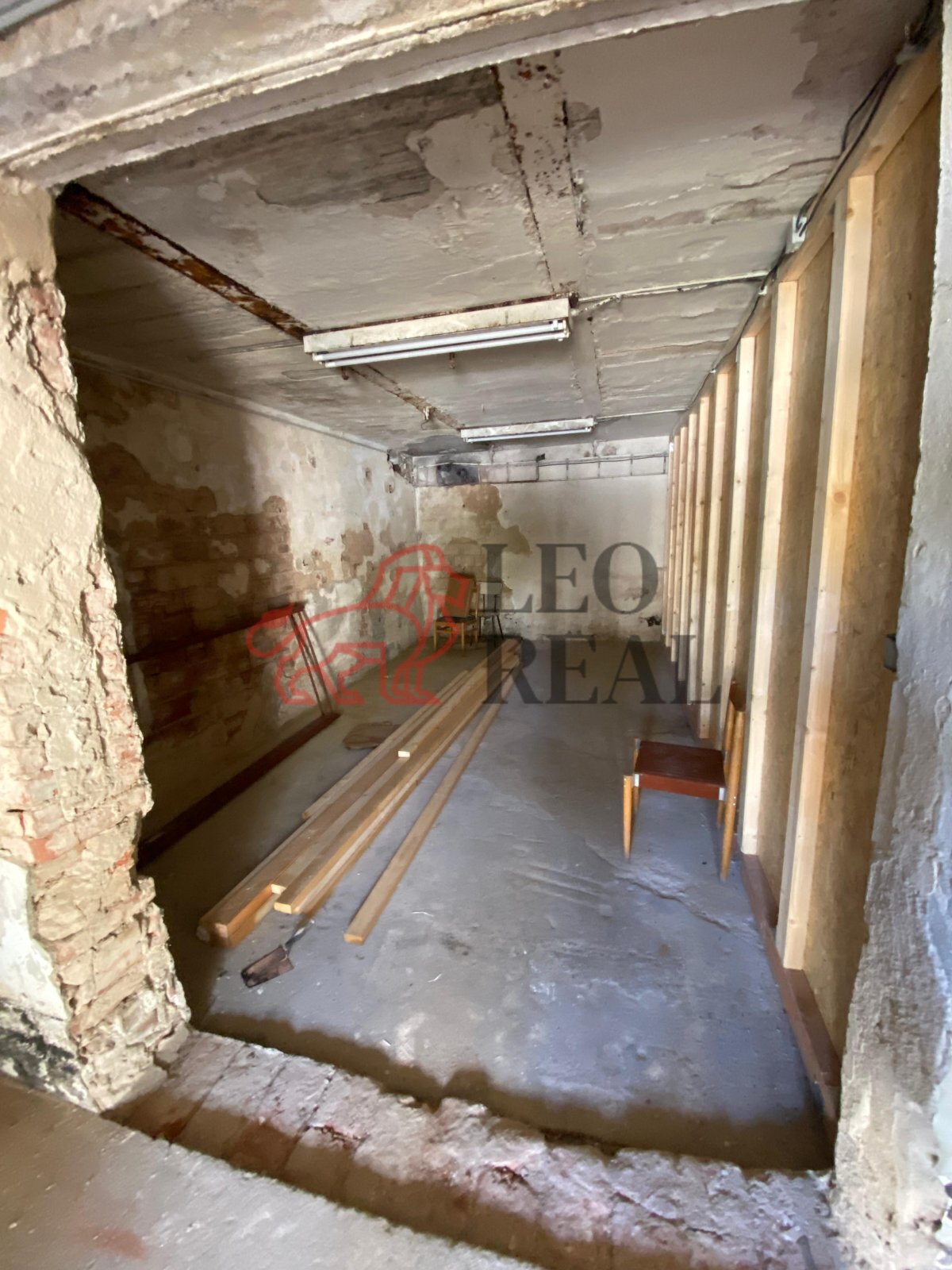 Obrázek WhatsApp, 2025-11-13 v 15.25.41_9fe23c68.j