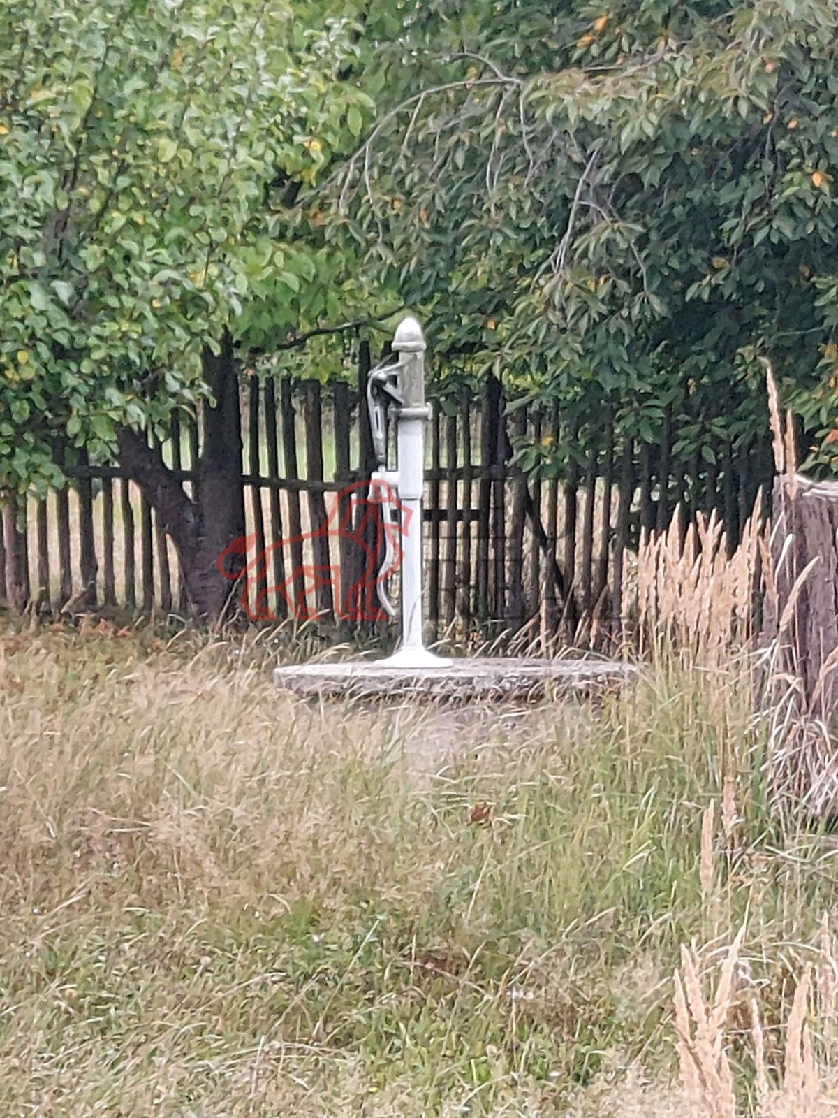 20250922_144530.jpg