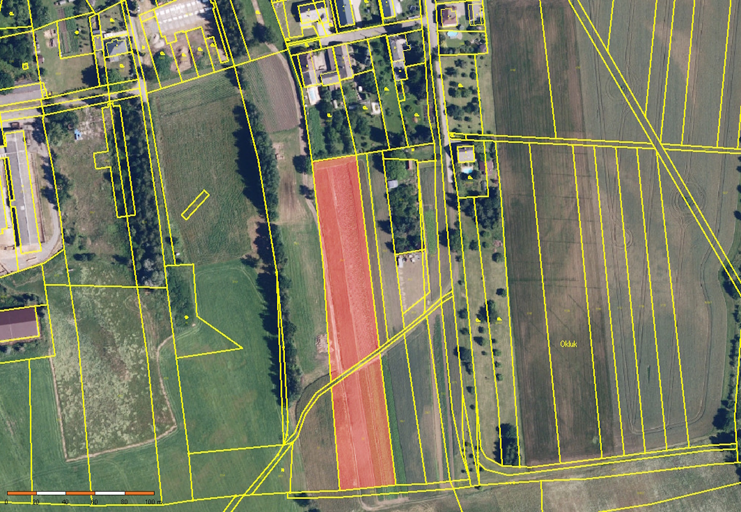 1_Ortofoto celek.jpg