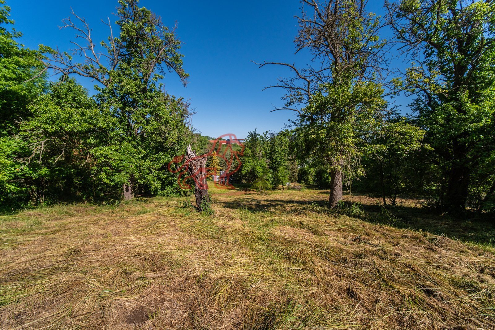 Pozemek, Kouřim (16).jpg