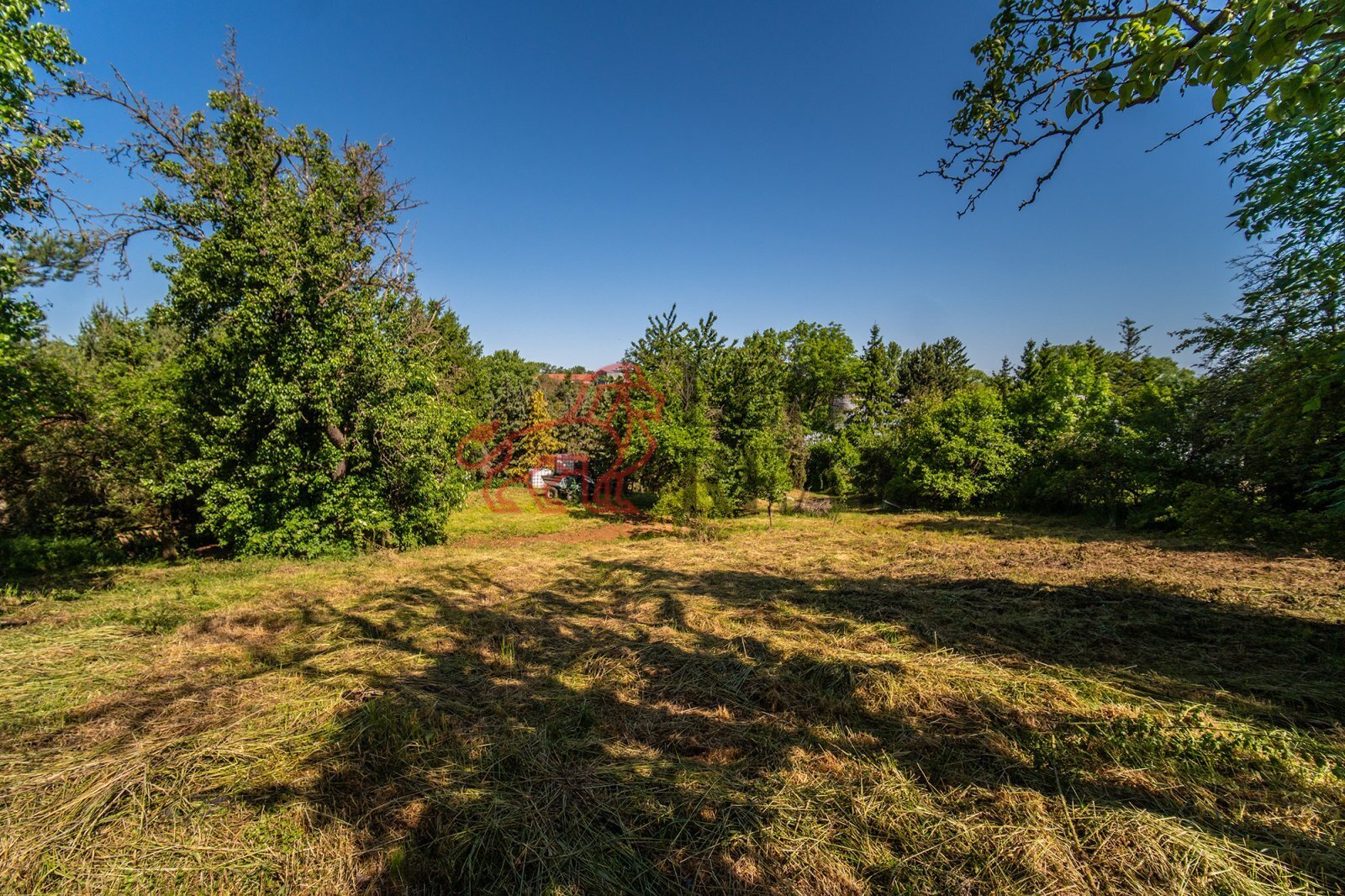 Pozemek, Kouřim (15).jpg