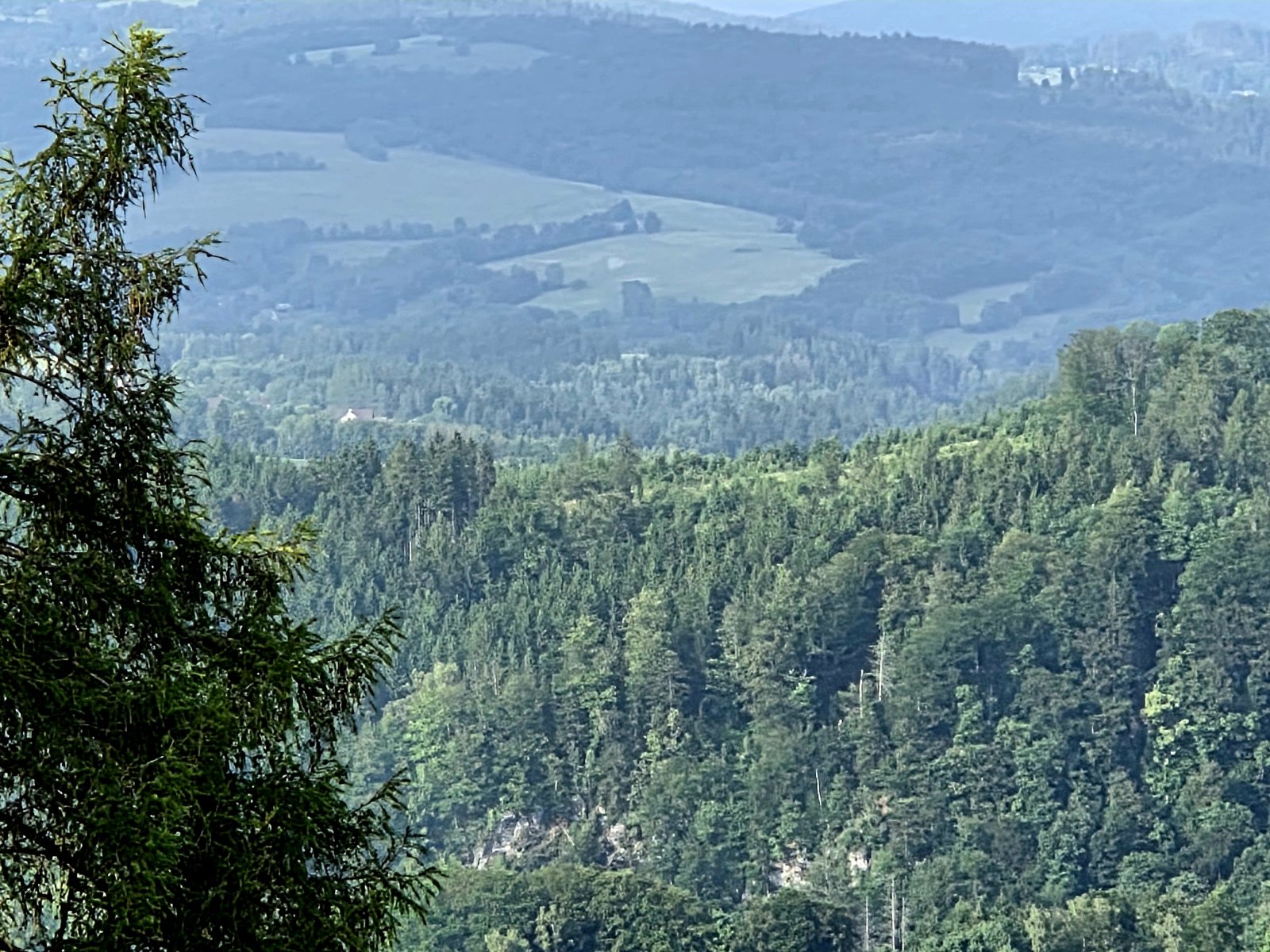 20250611_173535.jpg