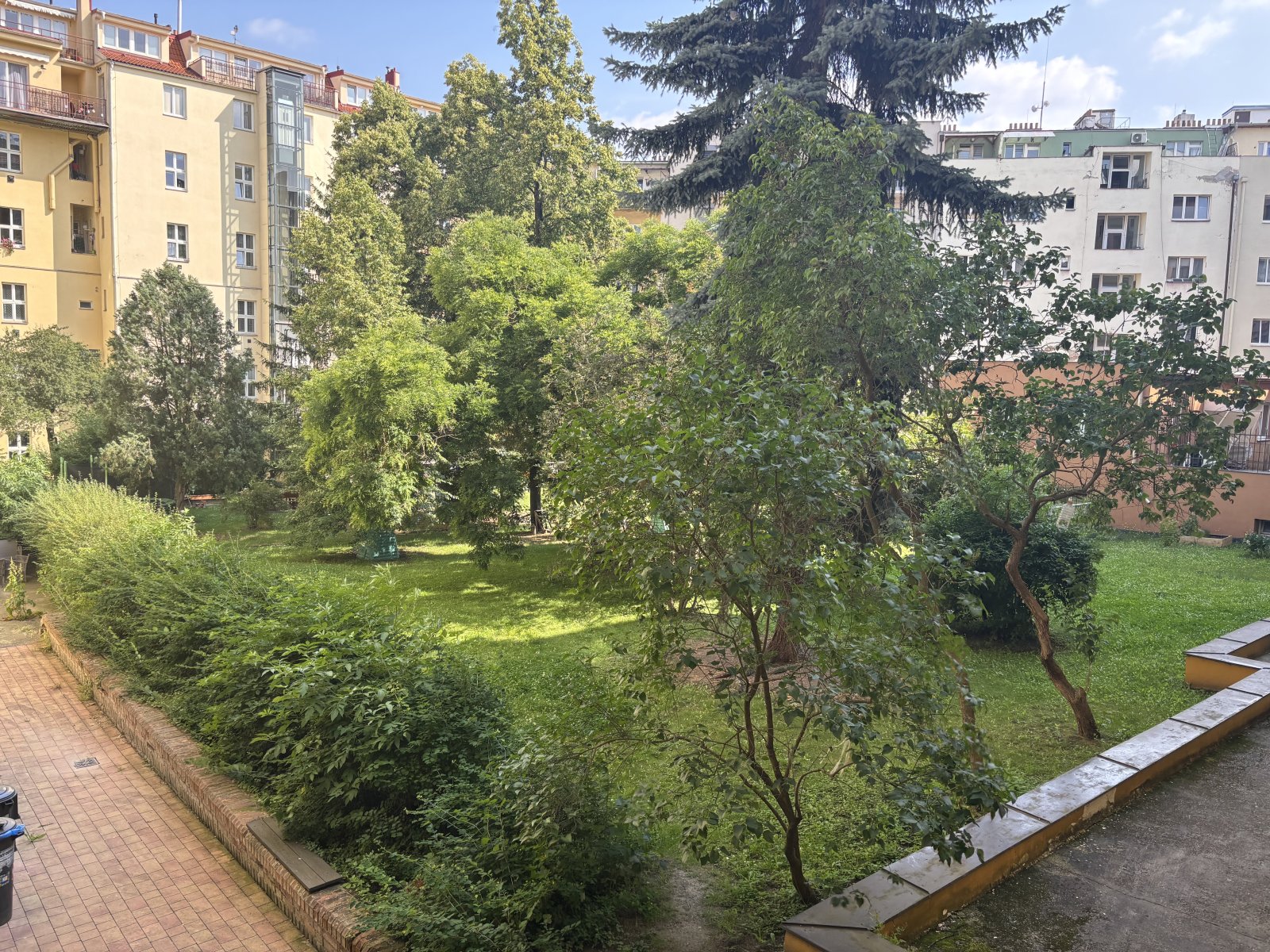 IMG_9619 (1).jpeg