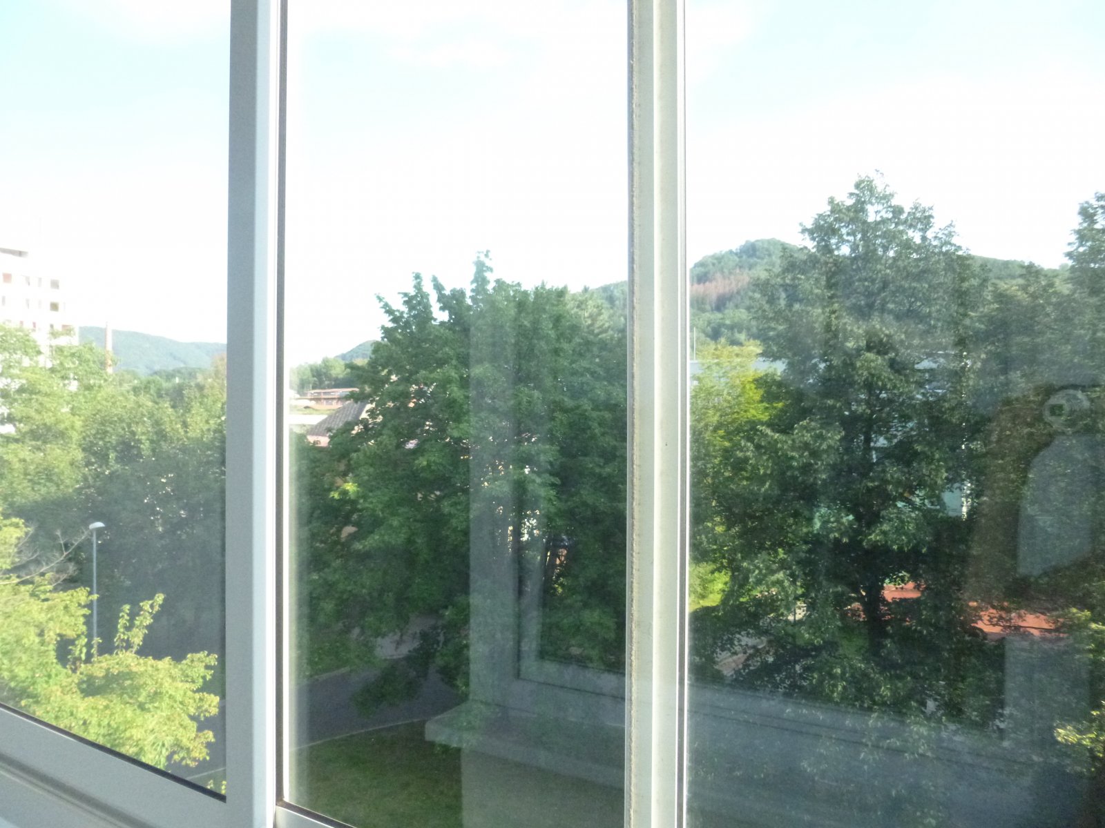 P1090265.JPG