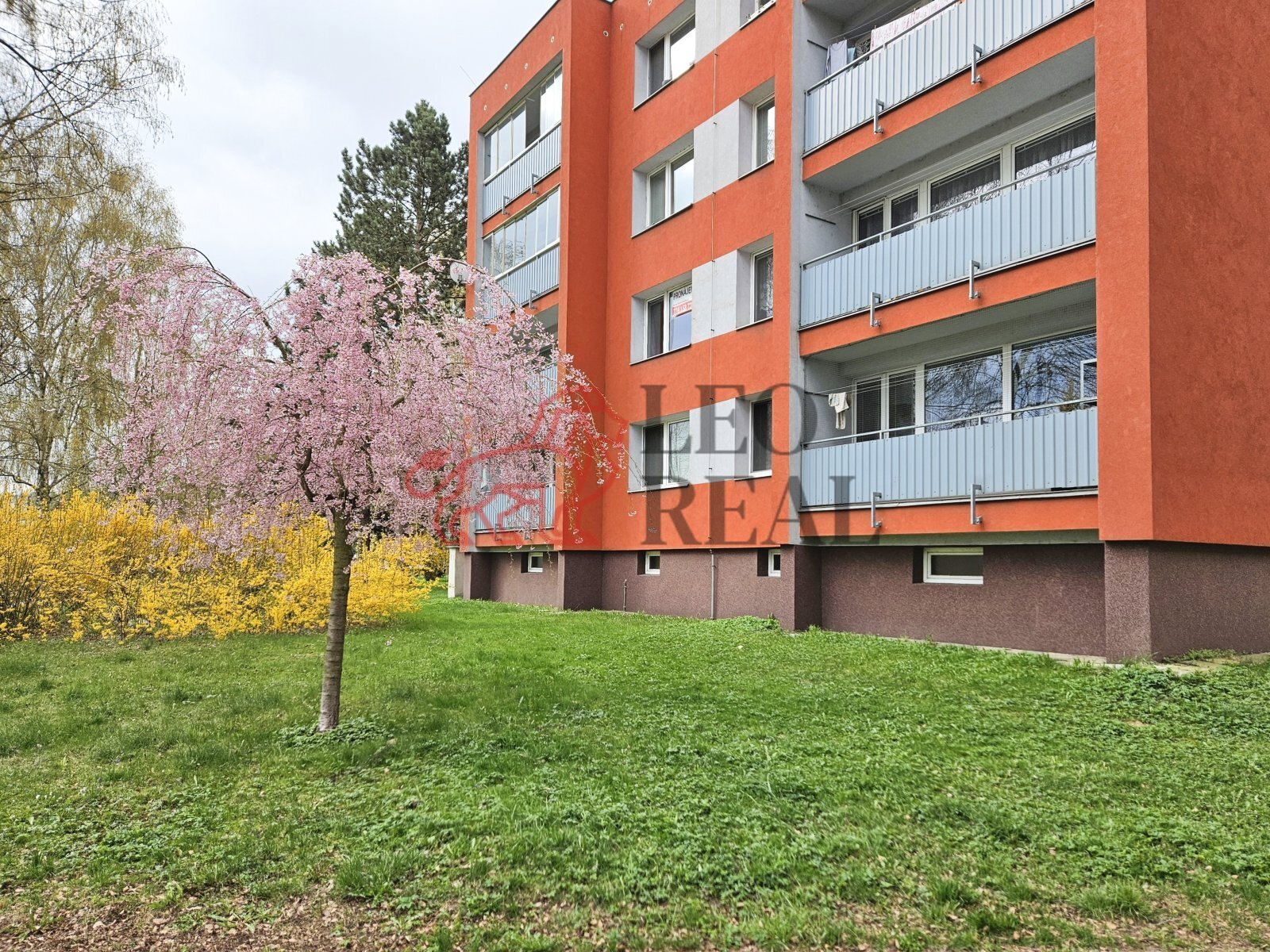 Ing. Martin Ščerba - 20260409_090840 (7).jpg