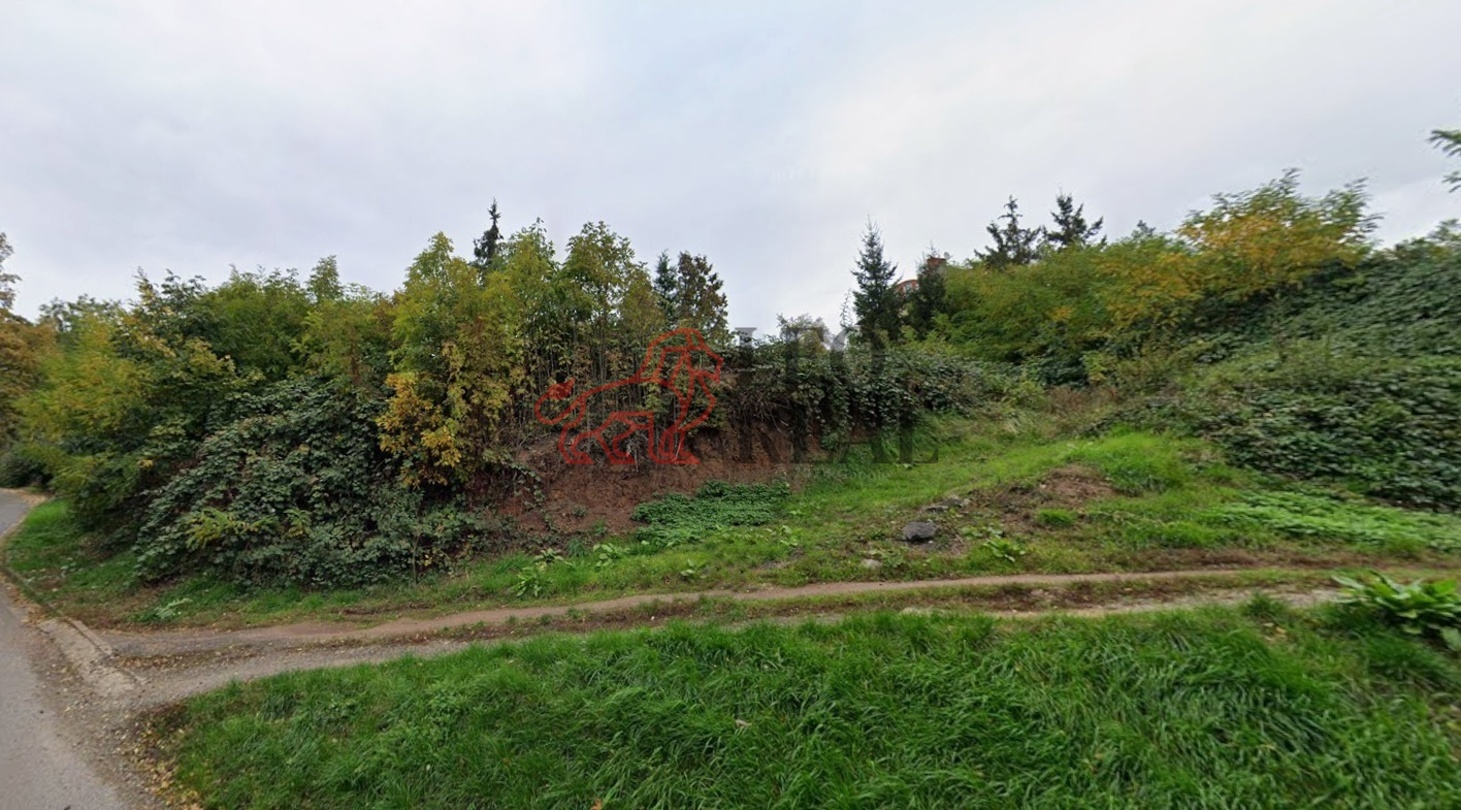 Cestička pozemek foto google.jpg