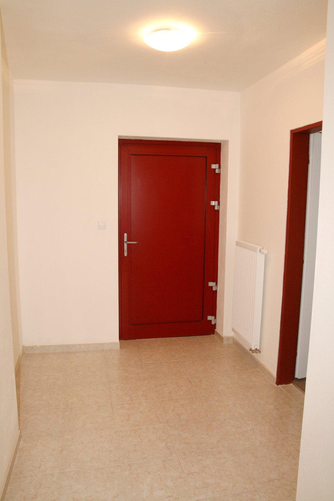 IMG 11.JPG