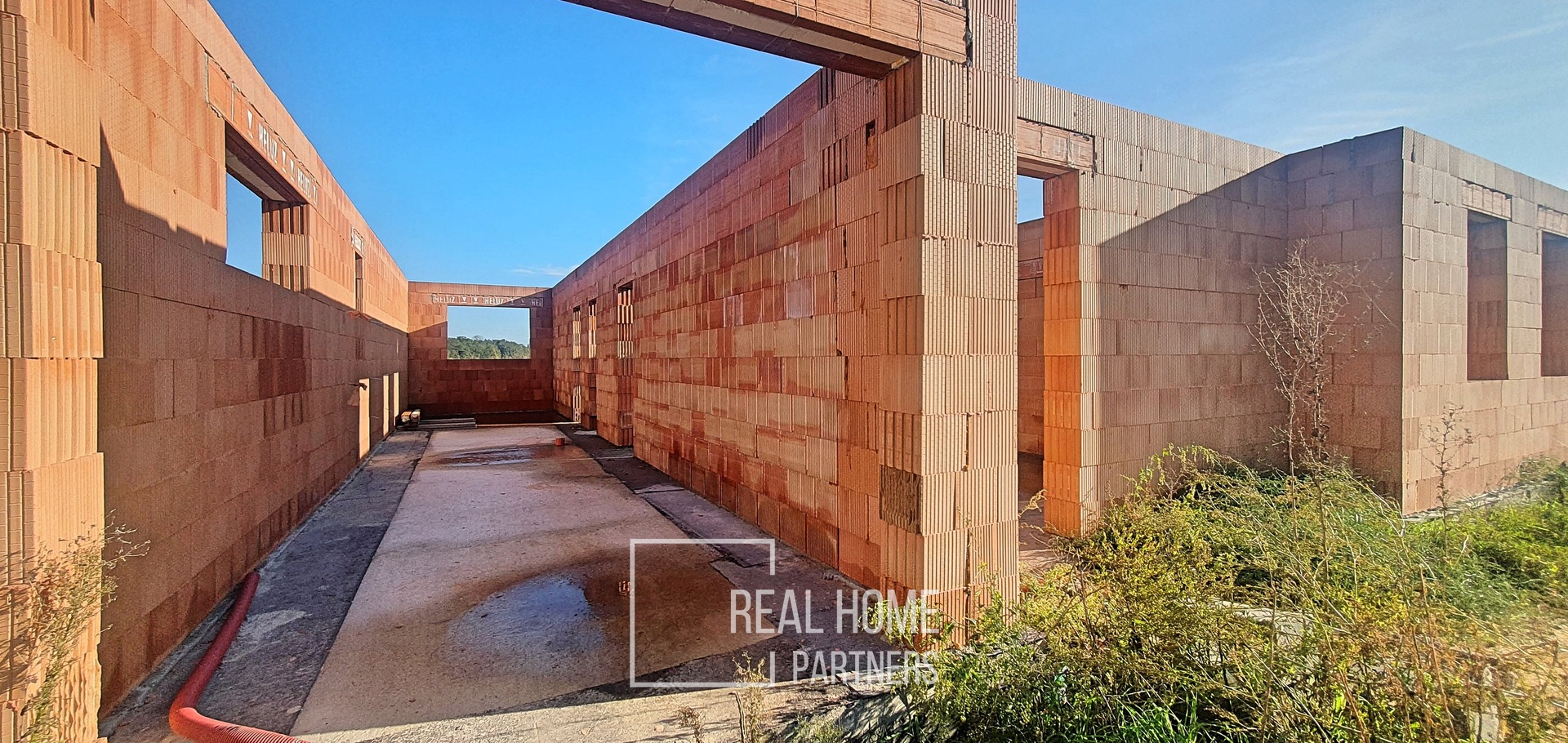 20241007_160124_Fotor