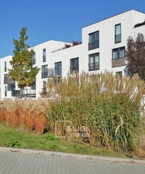 480x610cwm1-120b8-pronajem-byt-1-kk-34m2-balkon-st