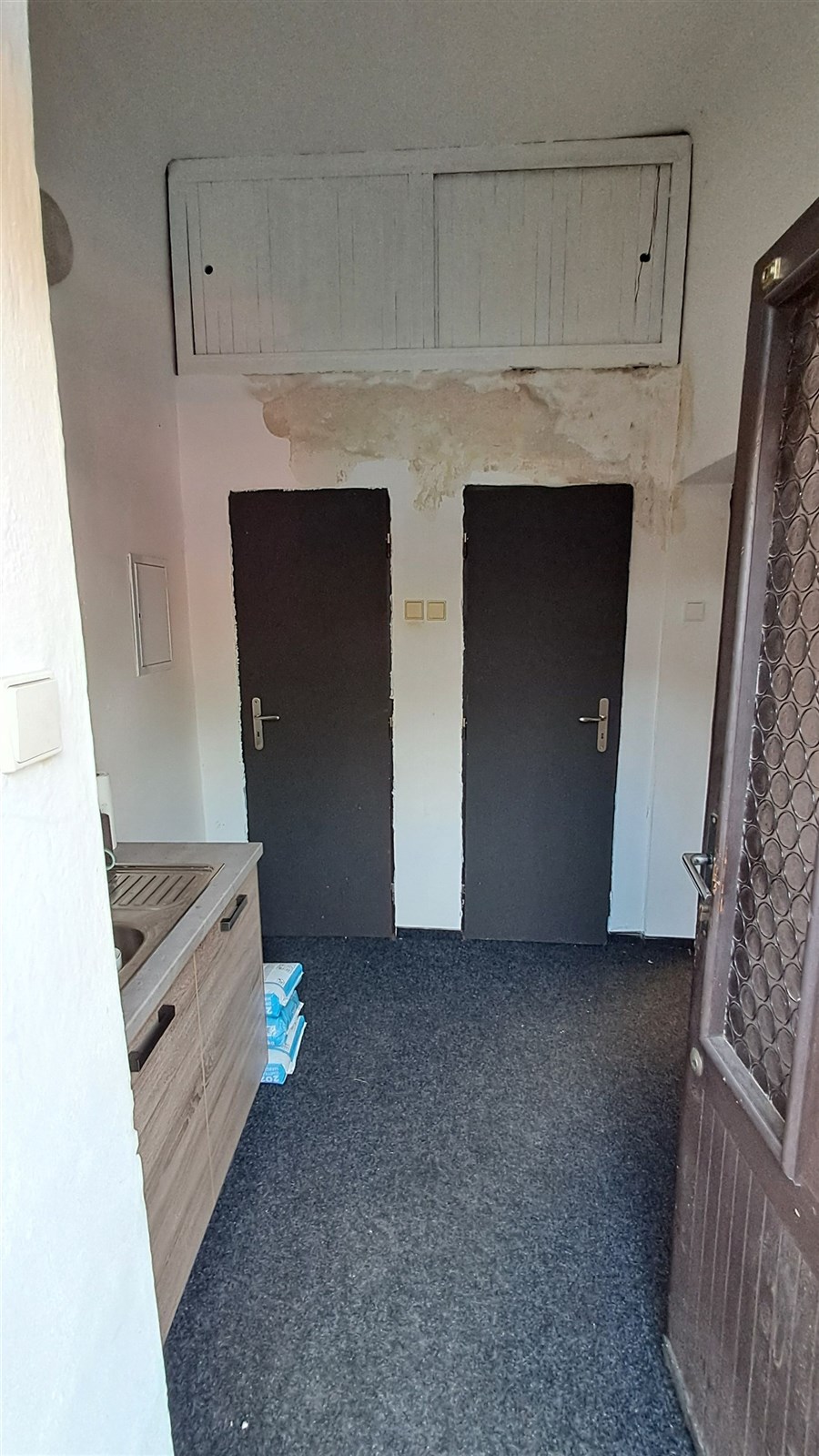 Vstupní chodba s vstupy na WC ( 2x)