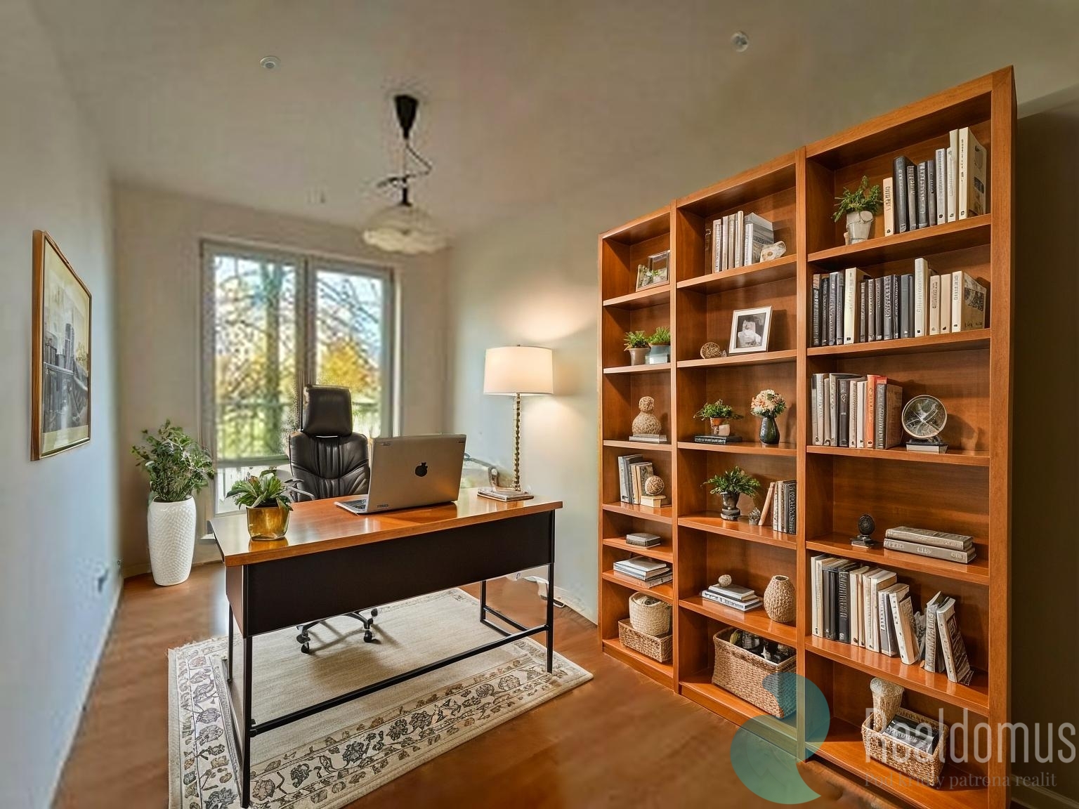 Pracovna vizualizace