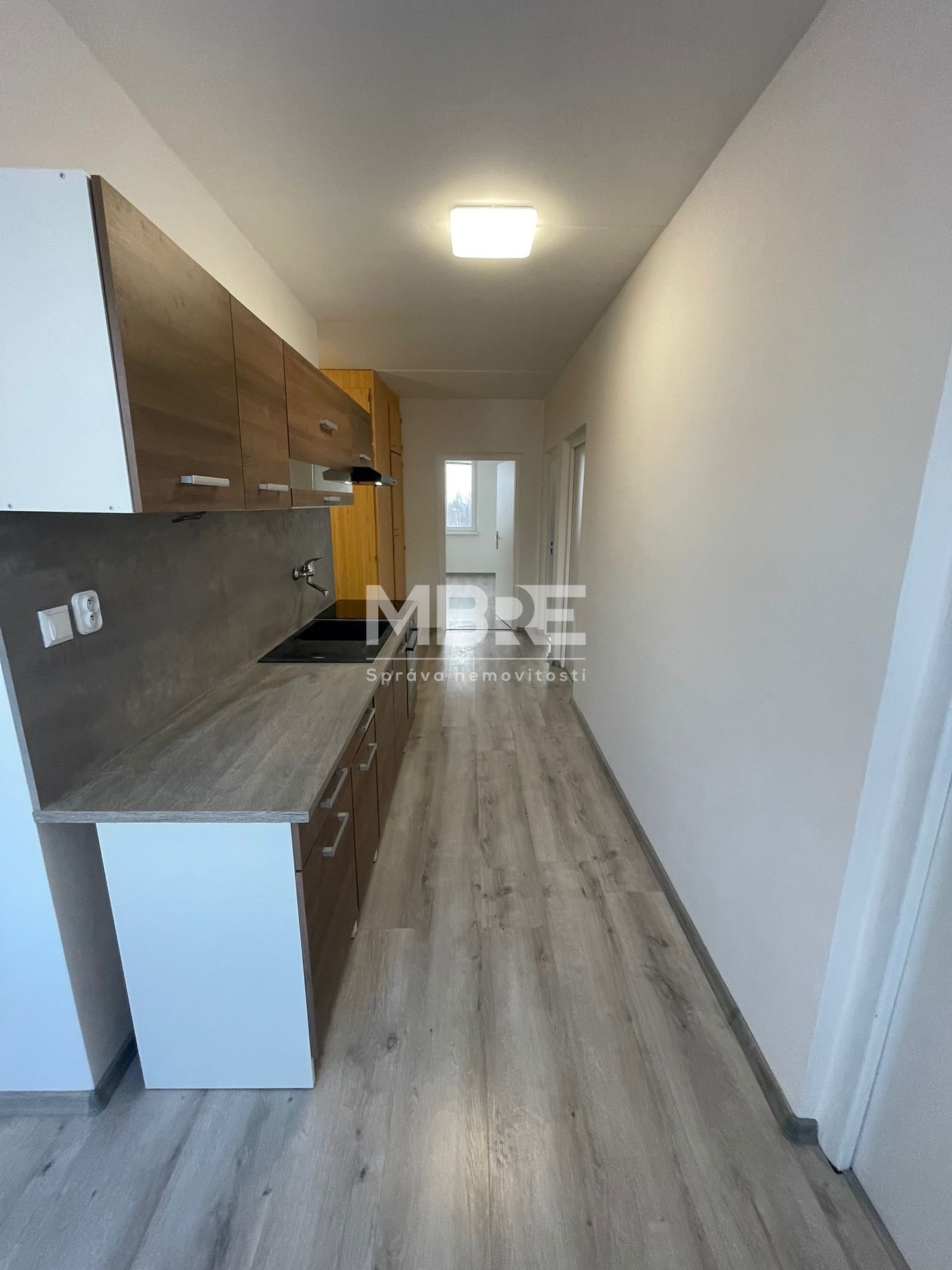 WhatsApp Image 2026-02-19 at 16.33.17 (3)