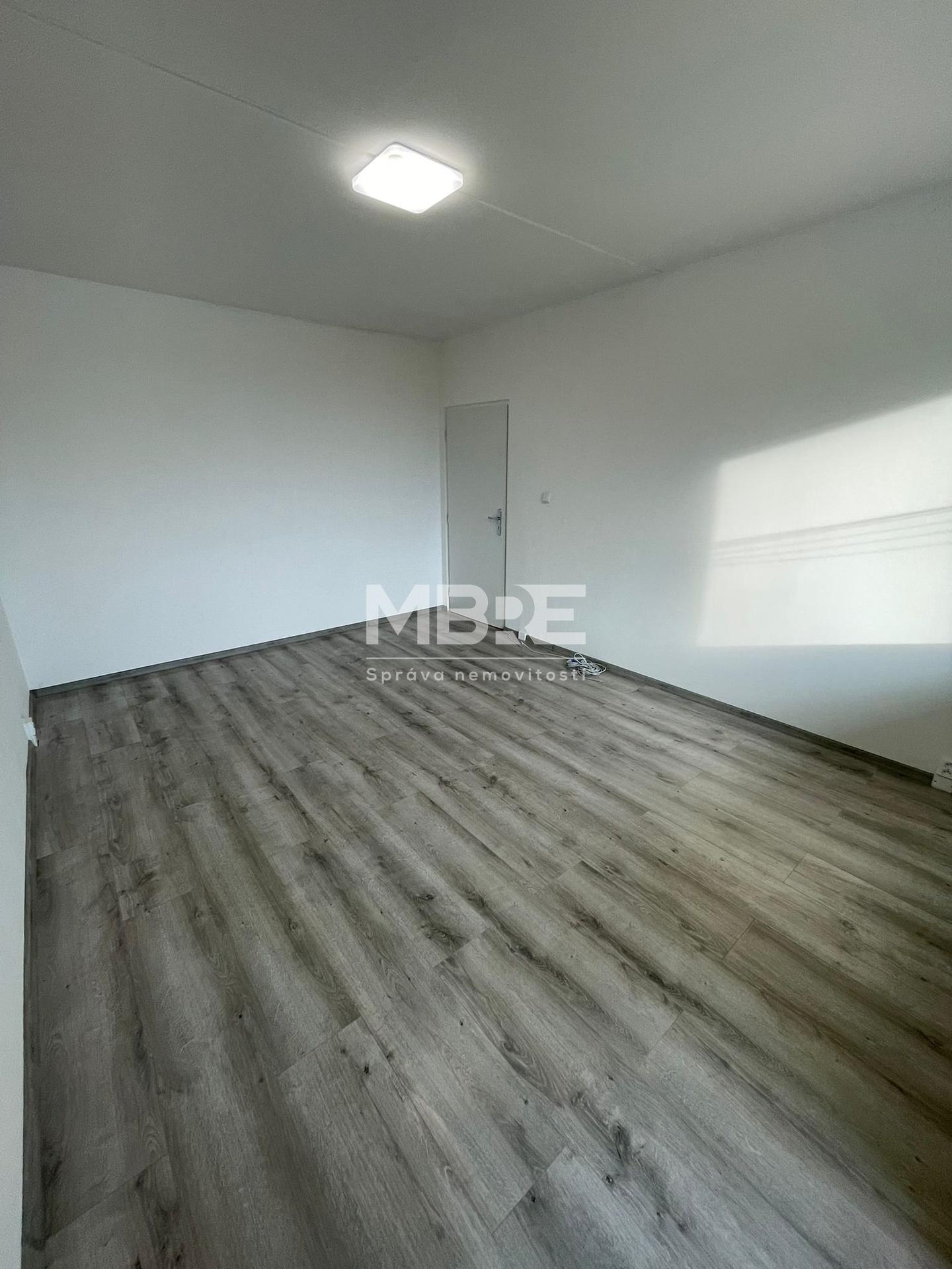 WhatsApp Image 2026-02-19 at 16.33.20 (2)