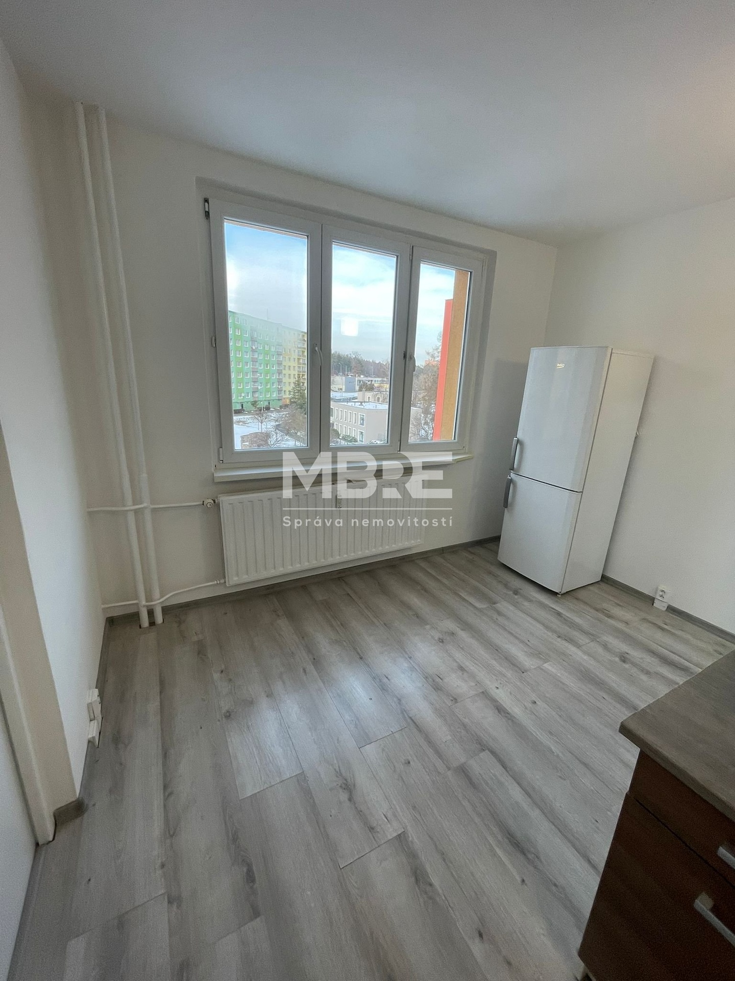 WhatsApp Image 2026-02-19 at 16.33.18 (1)