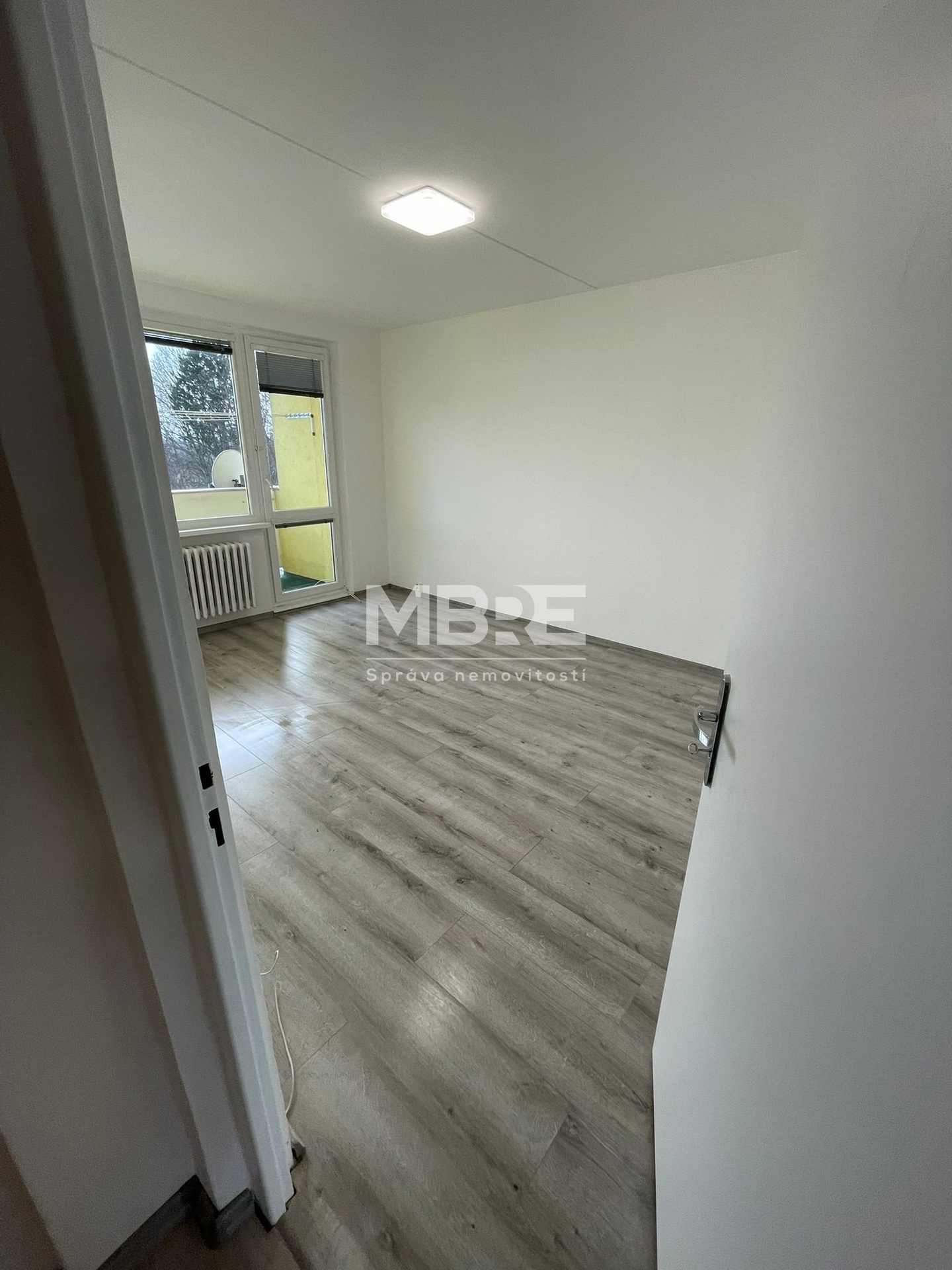 WhatsApp Image 2026-02-19 at 16.33.21