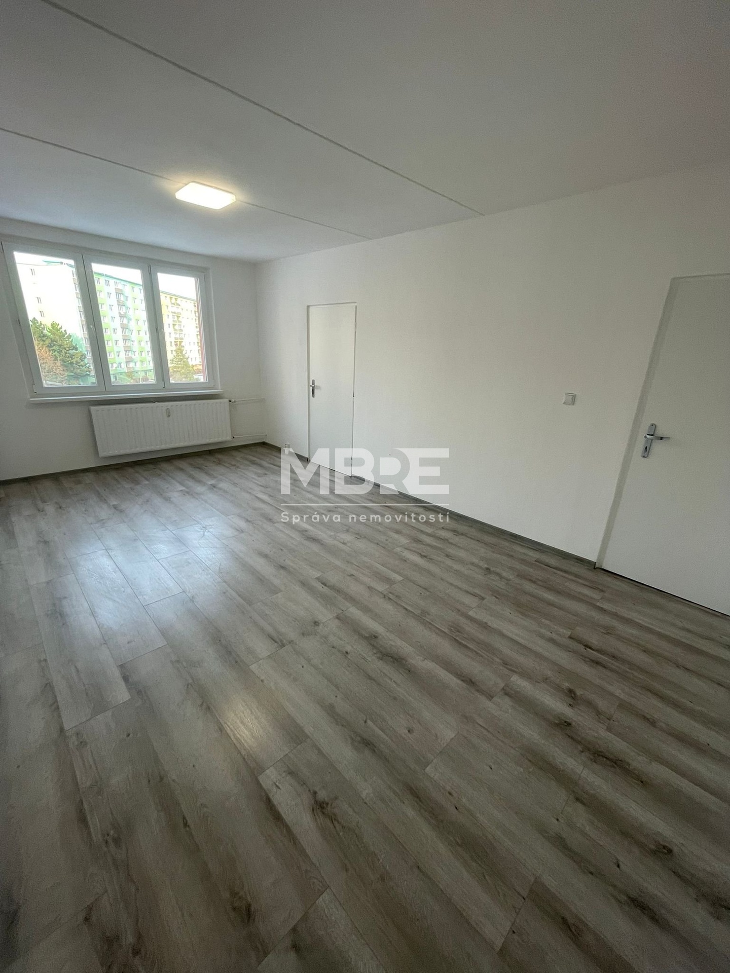 WhatsApp Image 2026-02-19 at 16.33.23