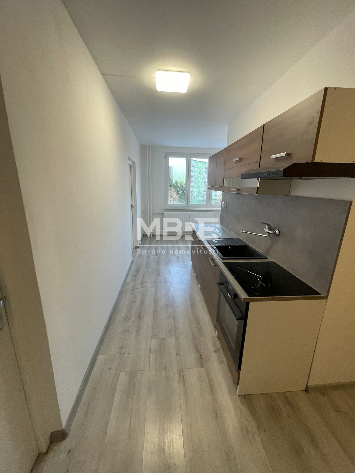 WhatsApp Image 2026-02-19 at 16.33.18