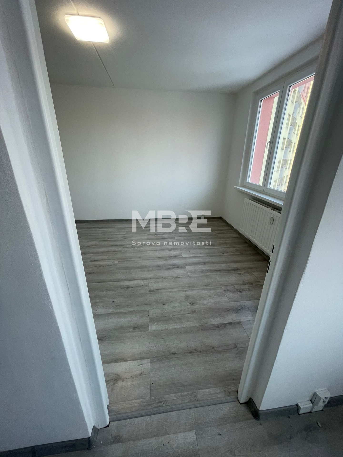 WhatsApp Image 2026-02-19 at 16.33.21 (1)