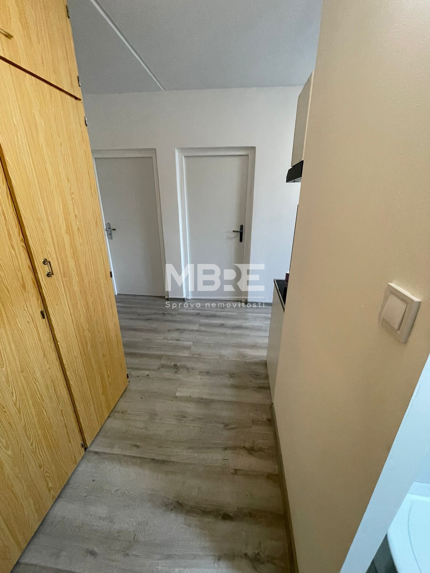 WhatsApp Image 2026-02-19 at 16.33.16 (1)