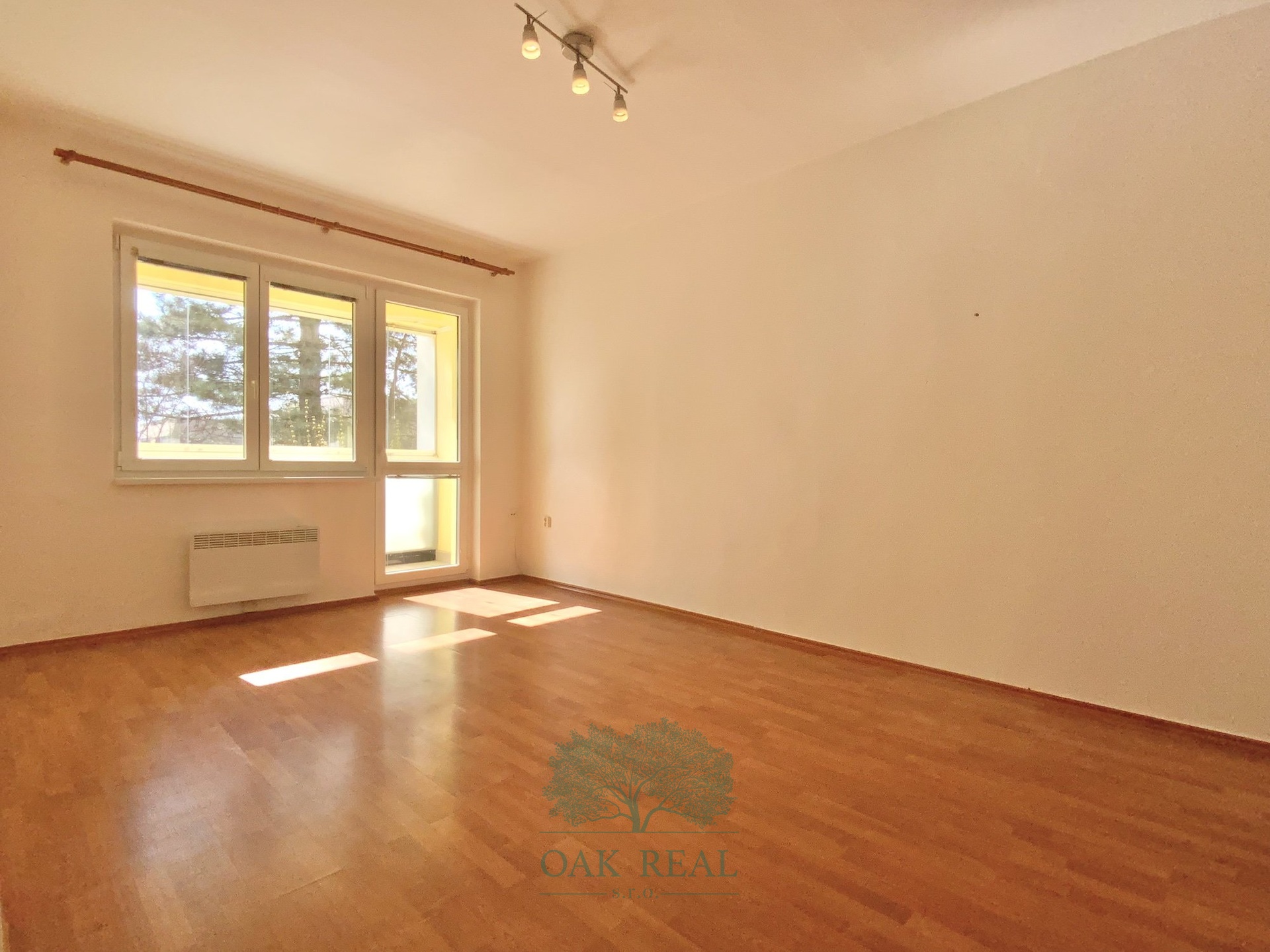 Pokoj s lodz?ii? a vy?hledem na jih