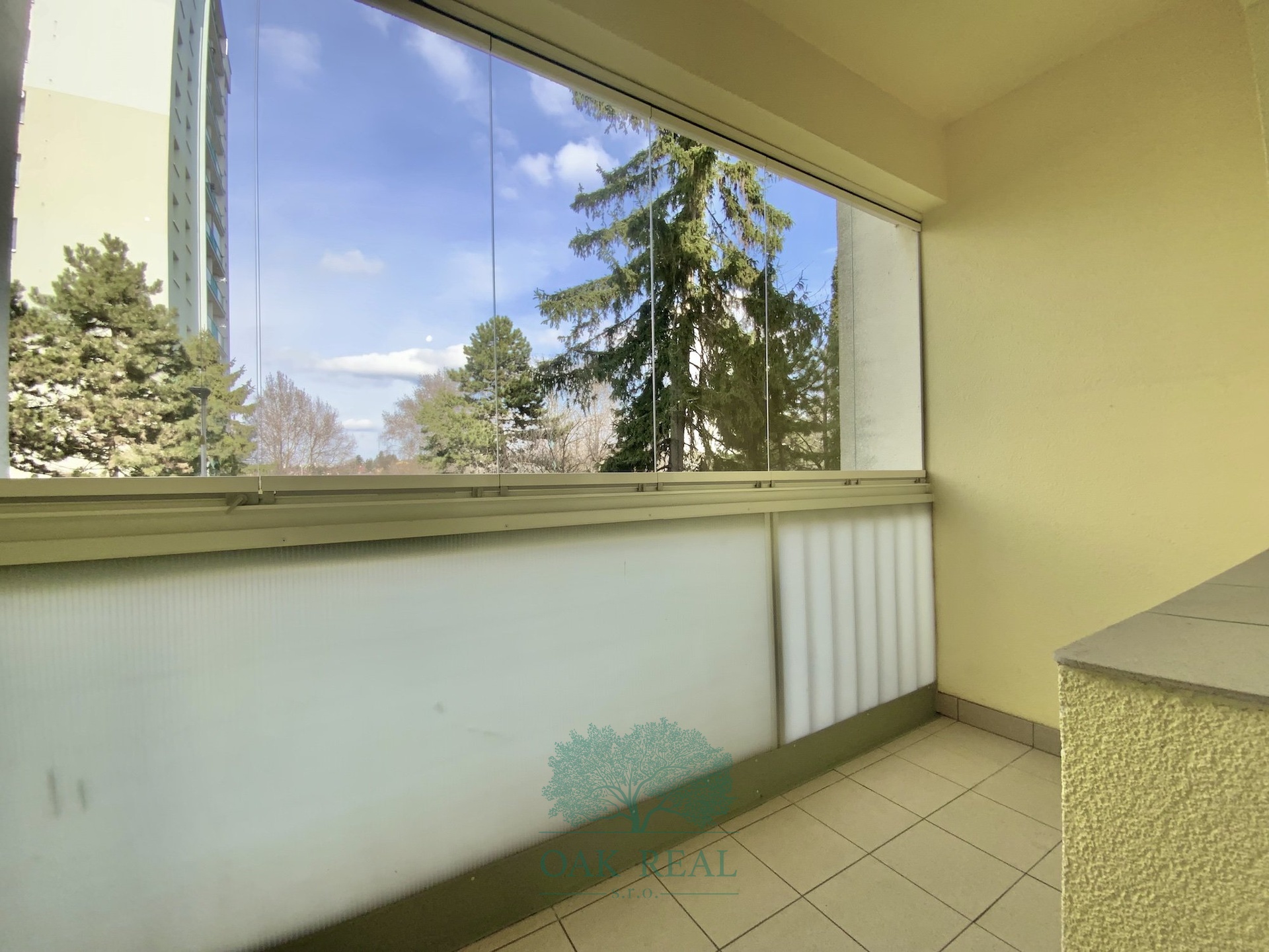 Loz?ie do ulice Druz?stevni?