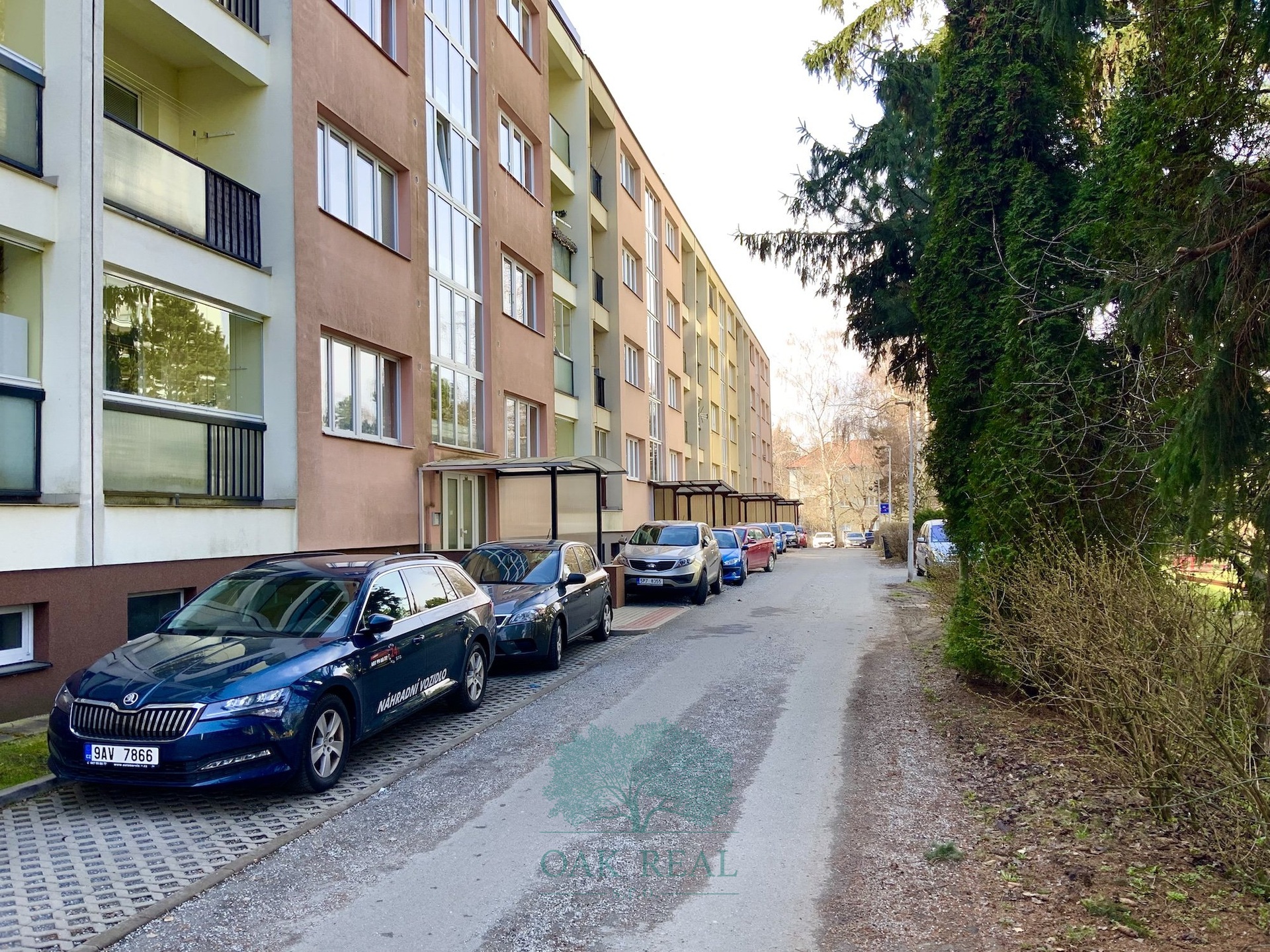 Parkovaci? mi?sta v ulici Druz?stevni?