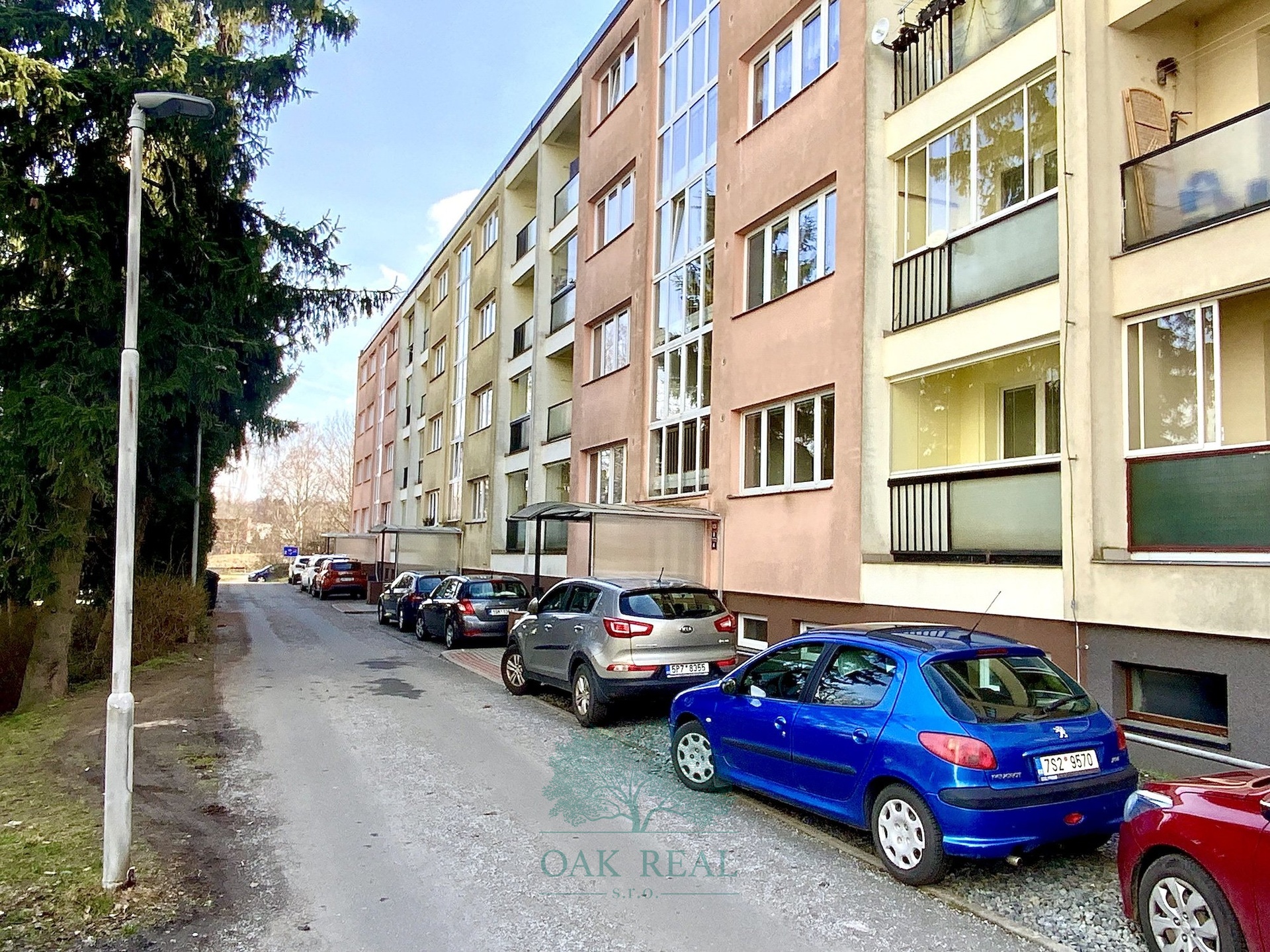 Ulice Druz?stevni? s pohledem na du?m