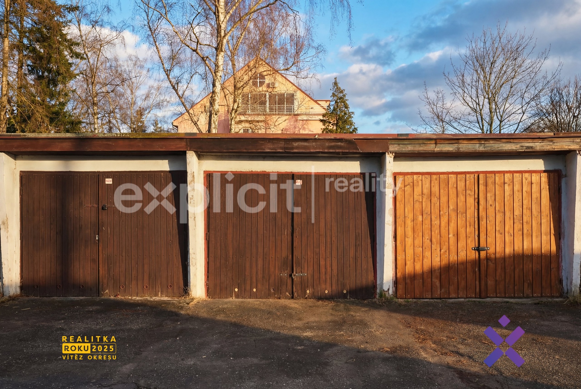 Alice Nováková Explicit Reality1.4