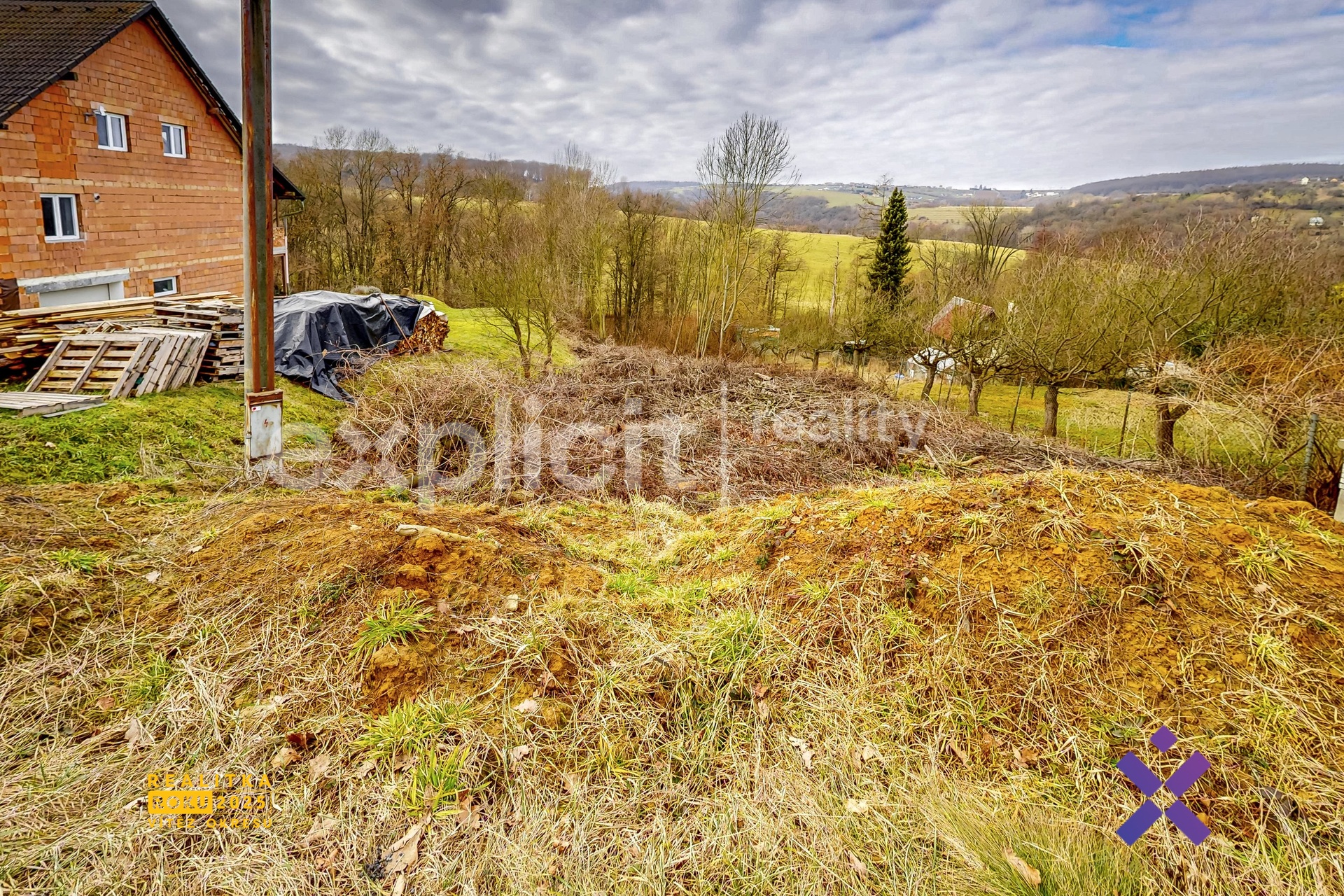 Zlutava-02252026_141329-2