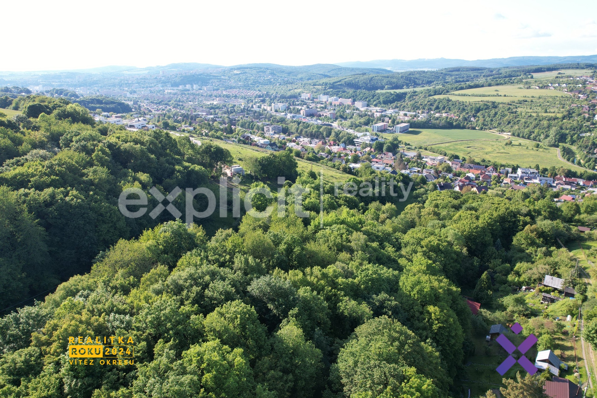 dji_fly_20250520_175430_184_1747910332459_photo