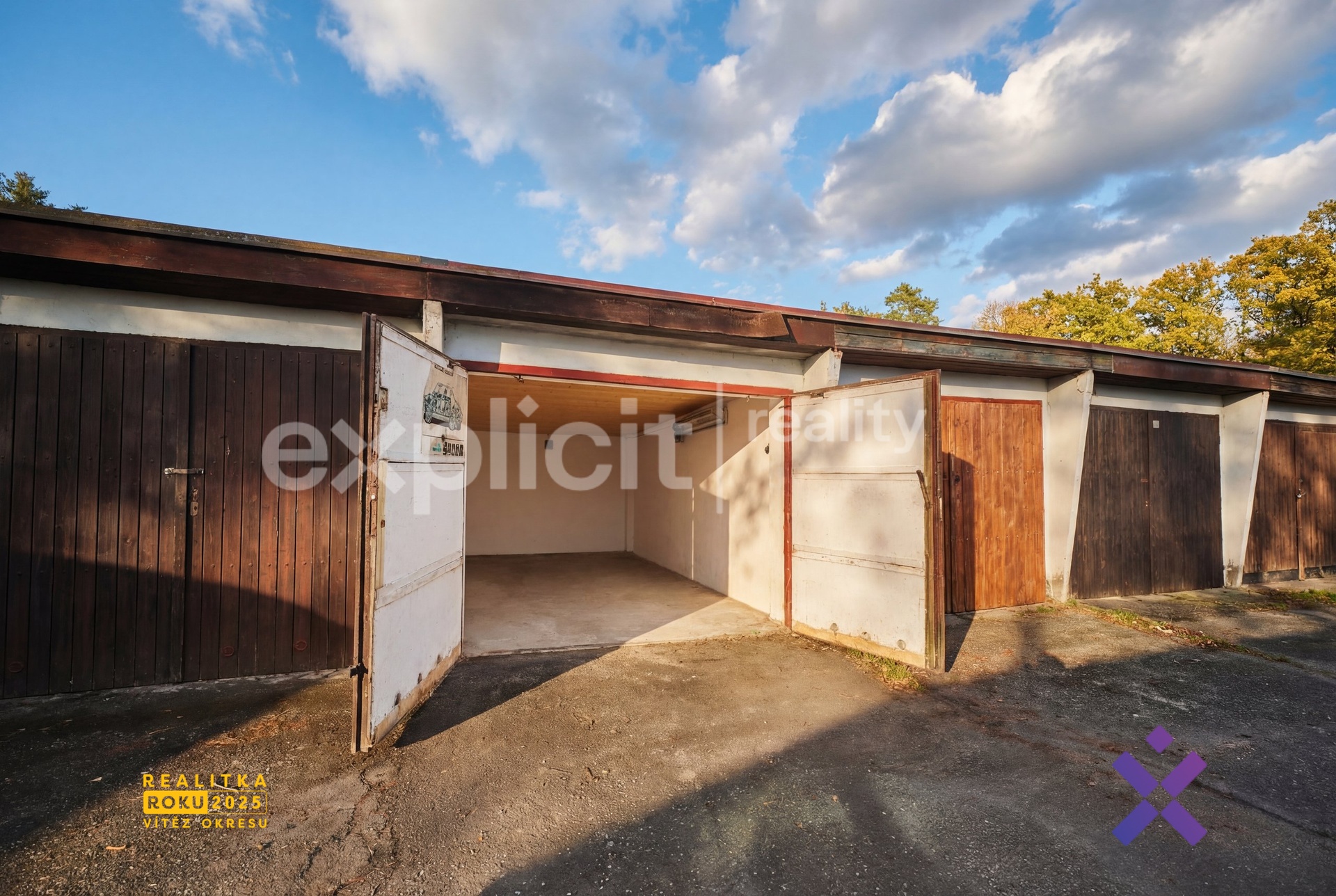 Alice Nováková Explicit Reality1.1