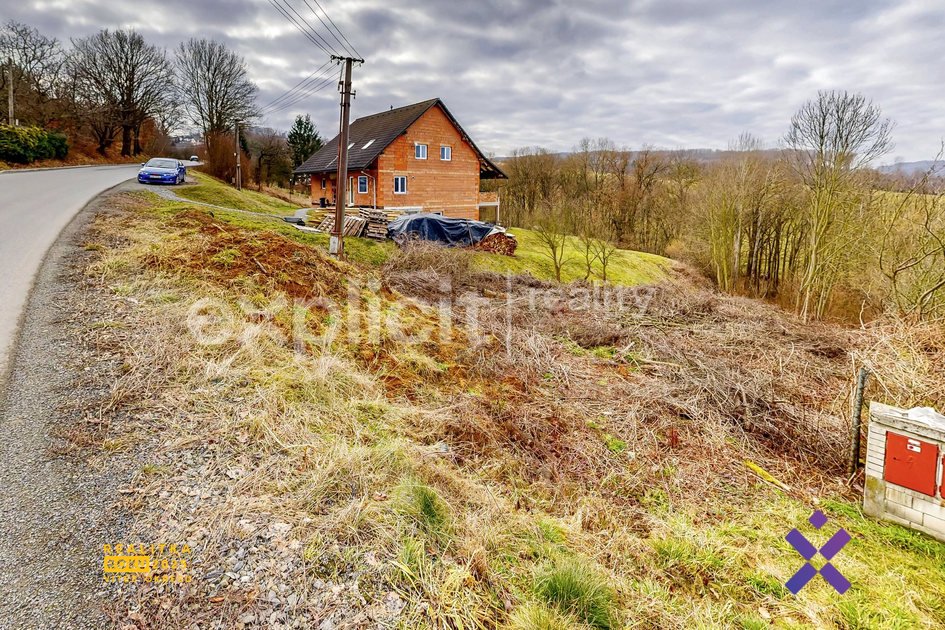 Zlutava-02252026_141230-2