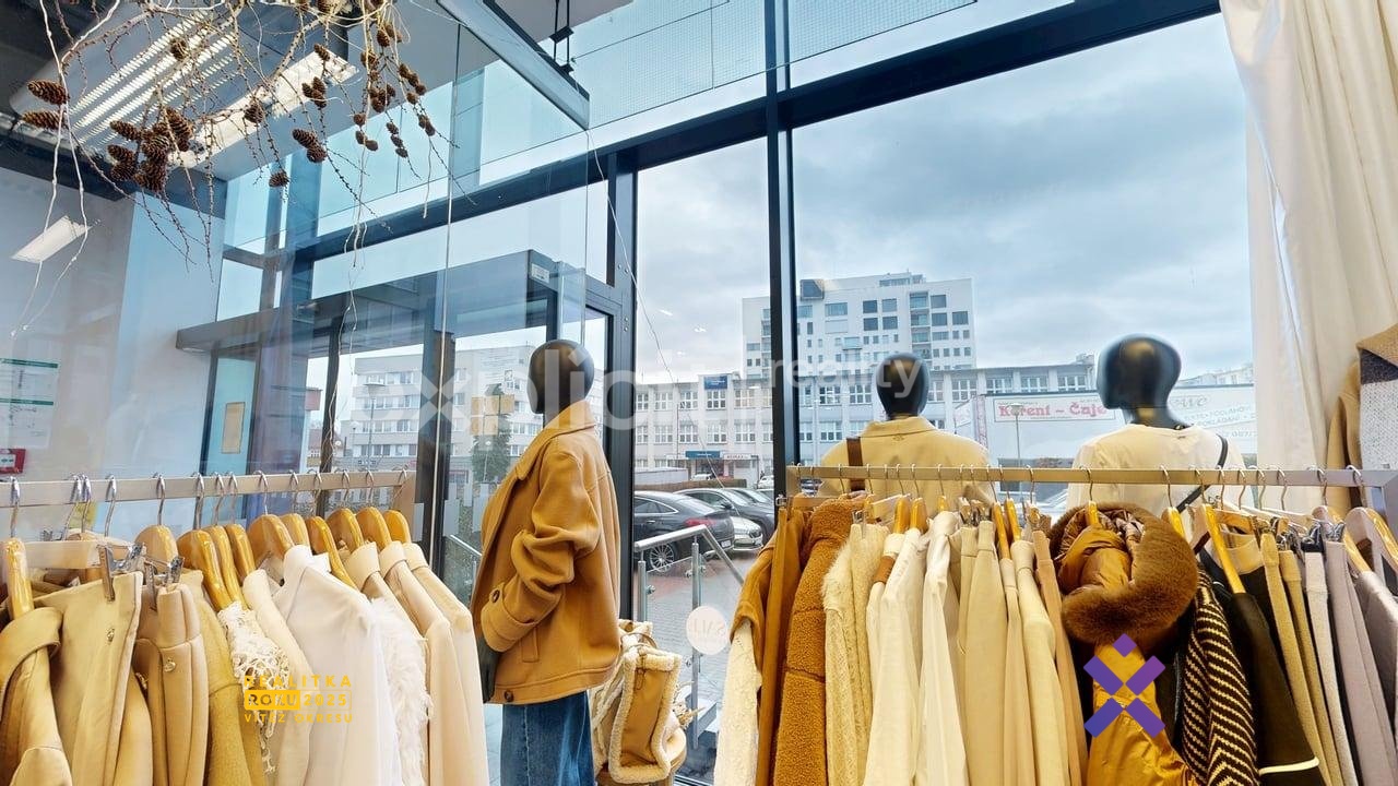 4352-Kvitkova-1ab-02082026_195807