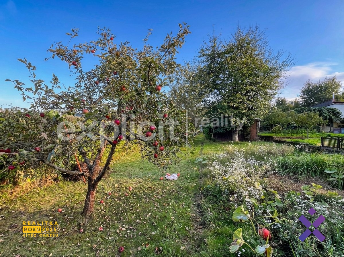 René Mrnuštík - Realitní makléř (7)