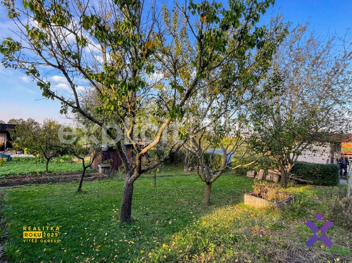 downloaded_file (11)