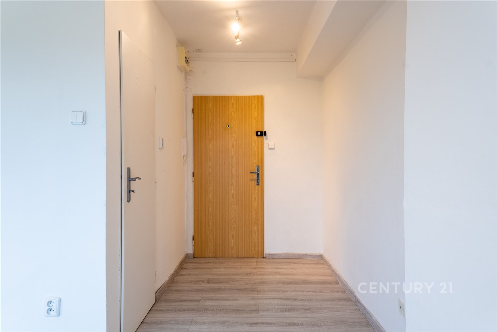 Vstupní hala s dřevěnými dveřmi, moderní světlý in