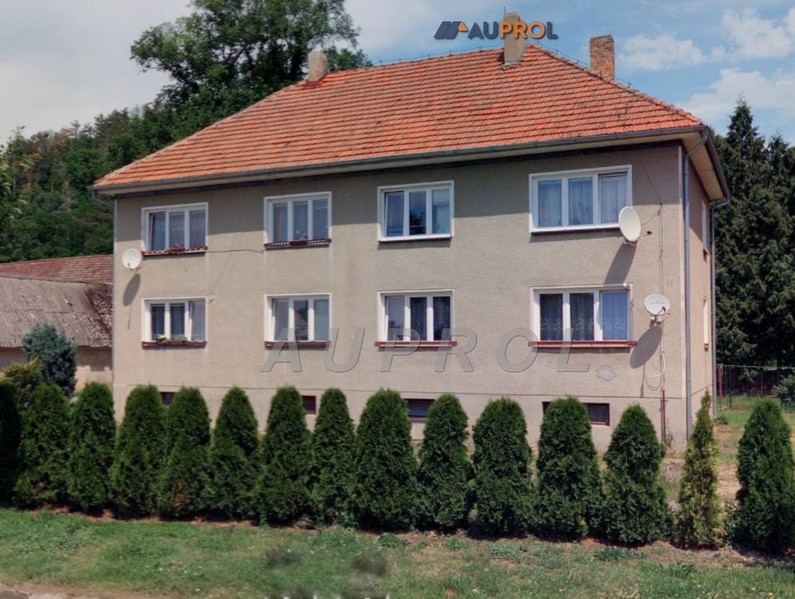 01.jpg