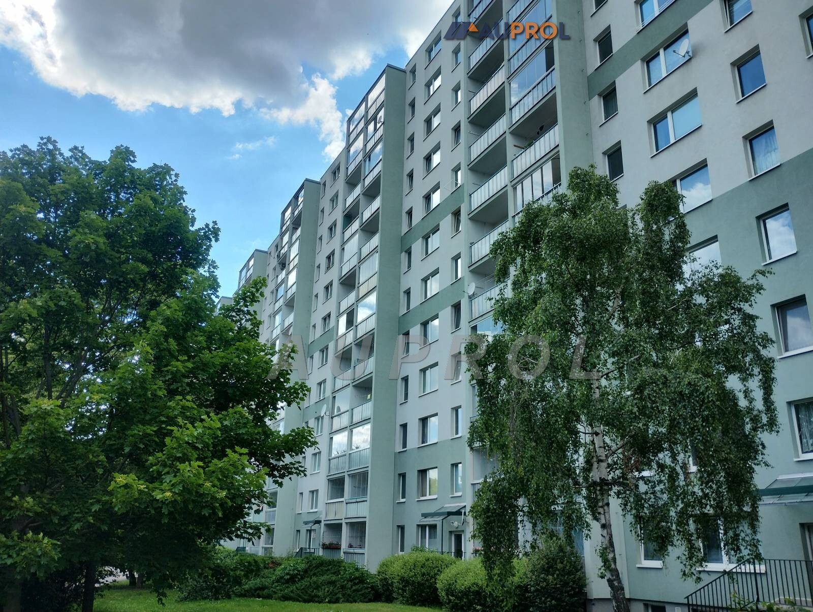 04.jpg