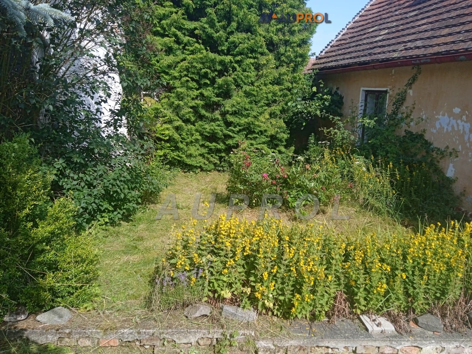 08.jpg
