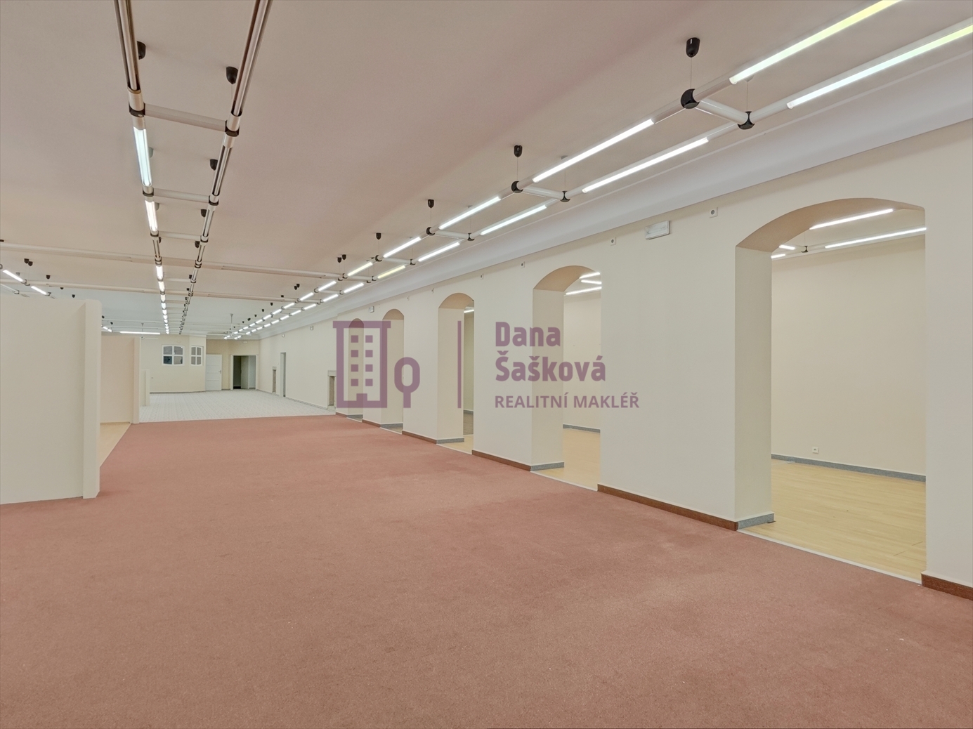 IMG_20251120_145945_45951_45954_45957_50000_Fusion