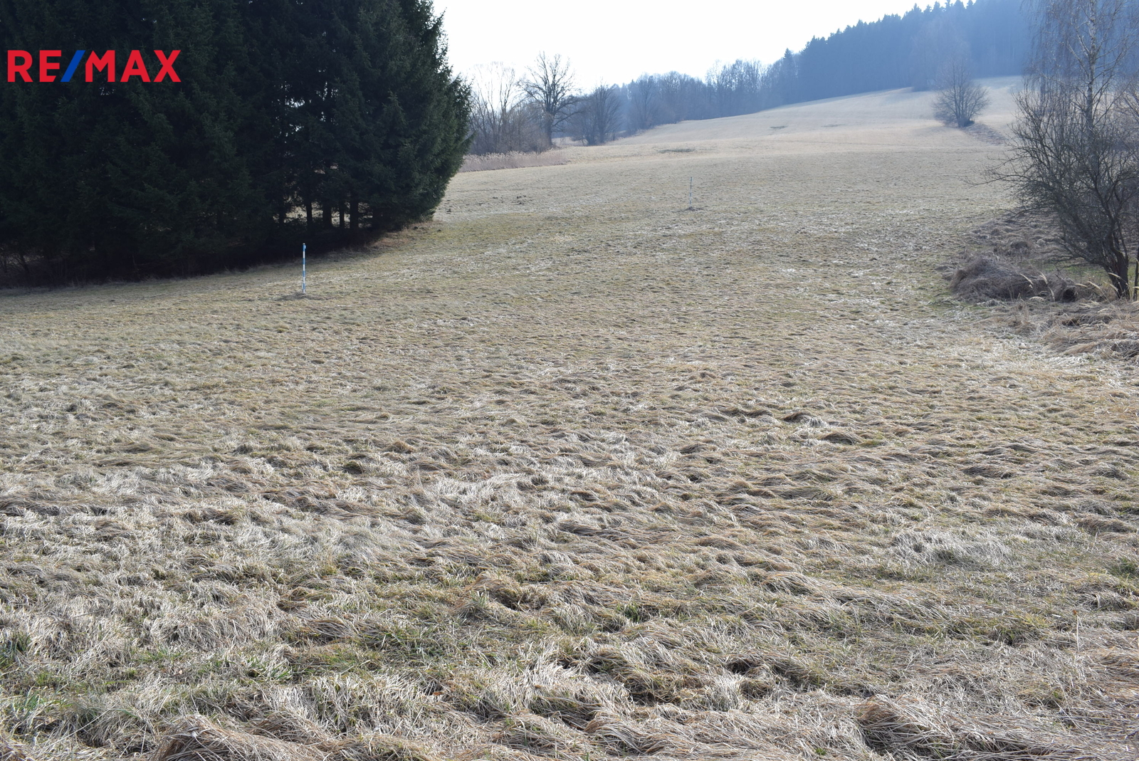 Pole a les nad pozemkem