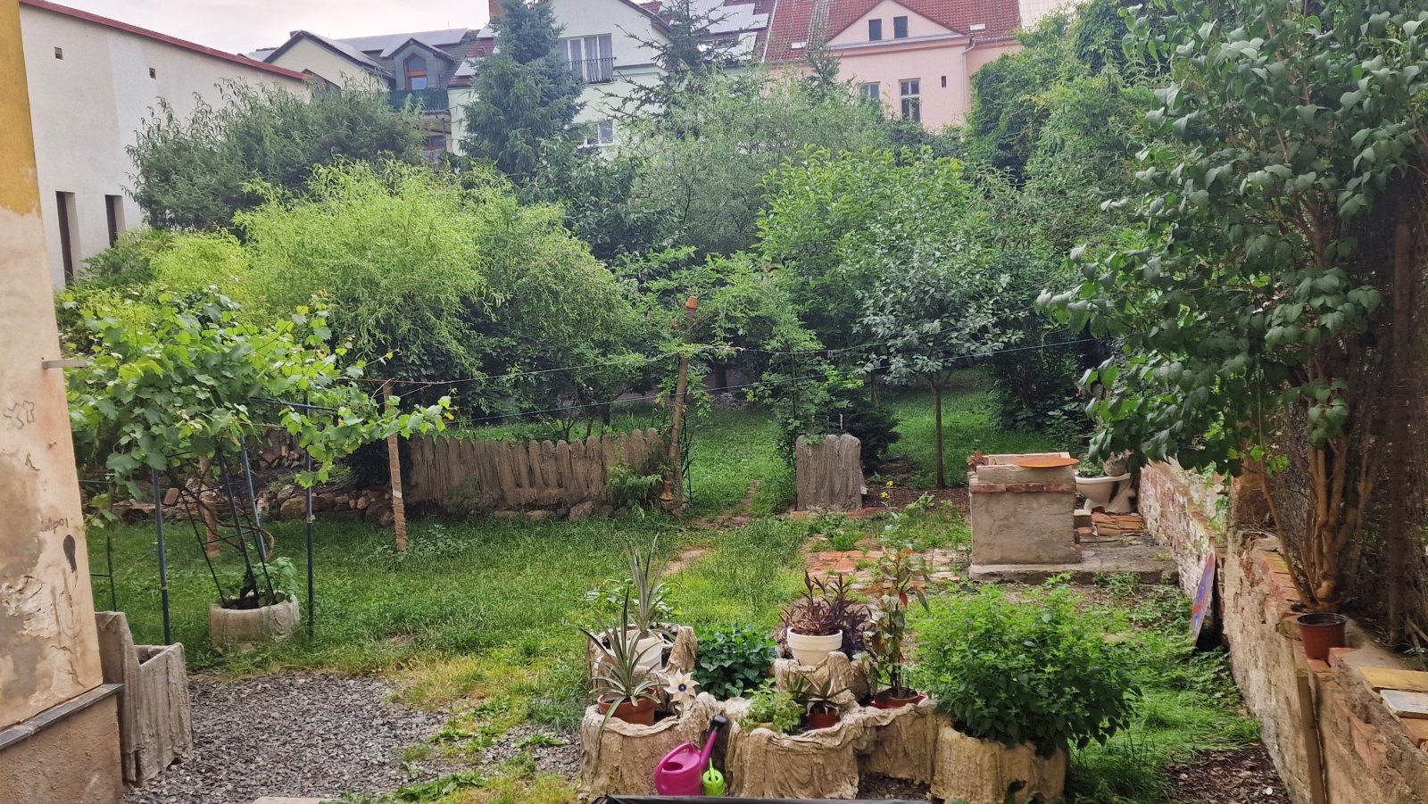 zahrada