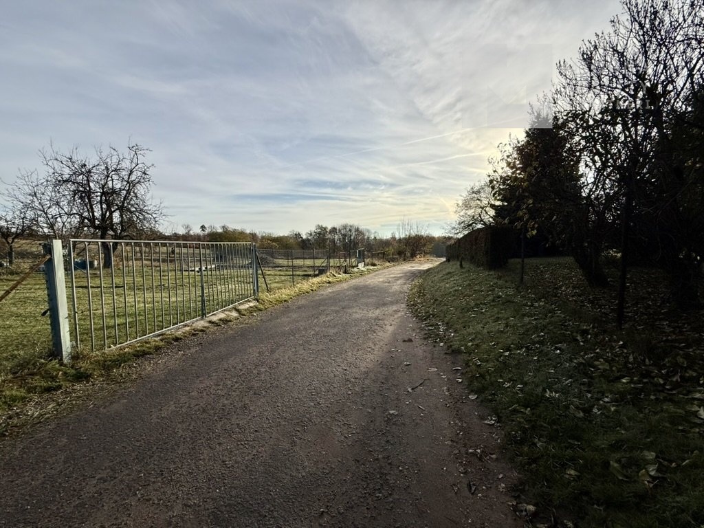 D6E1B66D-EA30-44AD-8F92-F55922ADB655_1_105_c